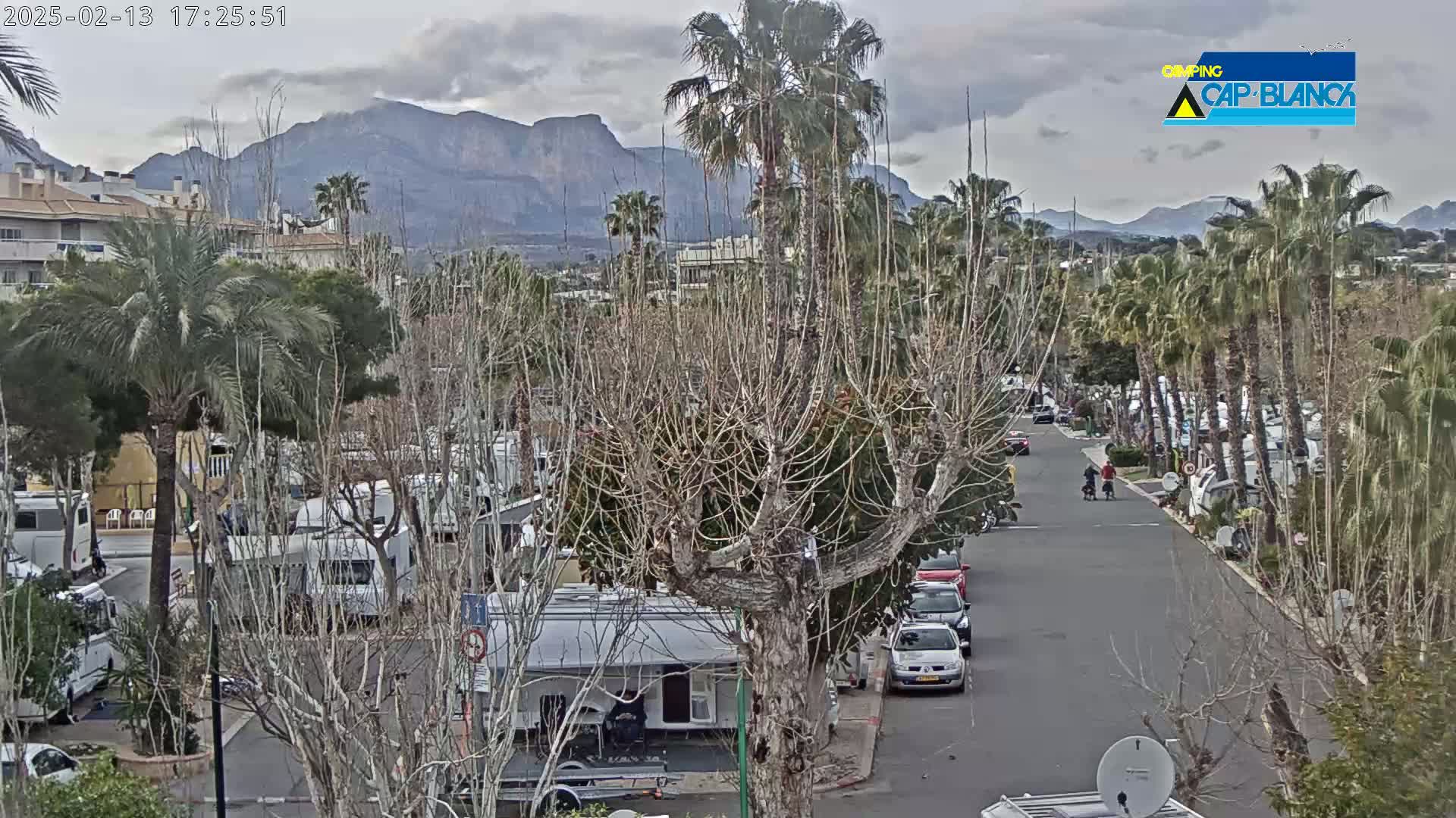 A paved road winds through a campground with numerous RVs and cars parked, surrounded by palm trees and bare deciduous trees under an overcast sky, with mountains visible in the distance.