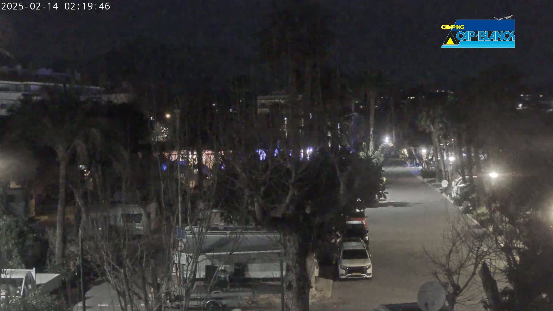 A nighttime view of a roadway lined with parked vehicles and trees, under a dark, clear sky.