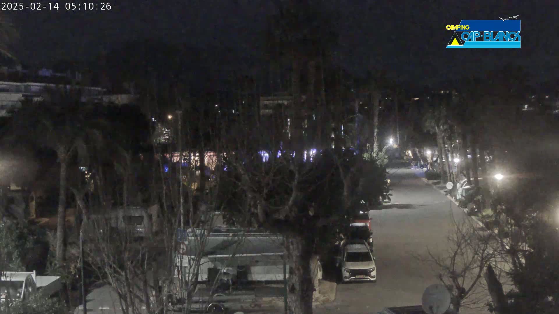 A nighttime view of a paved road lined with parked vehicles, trees, and buildings under a dark sky.