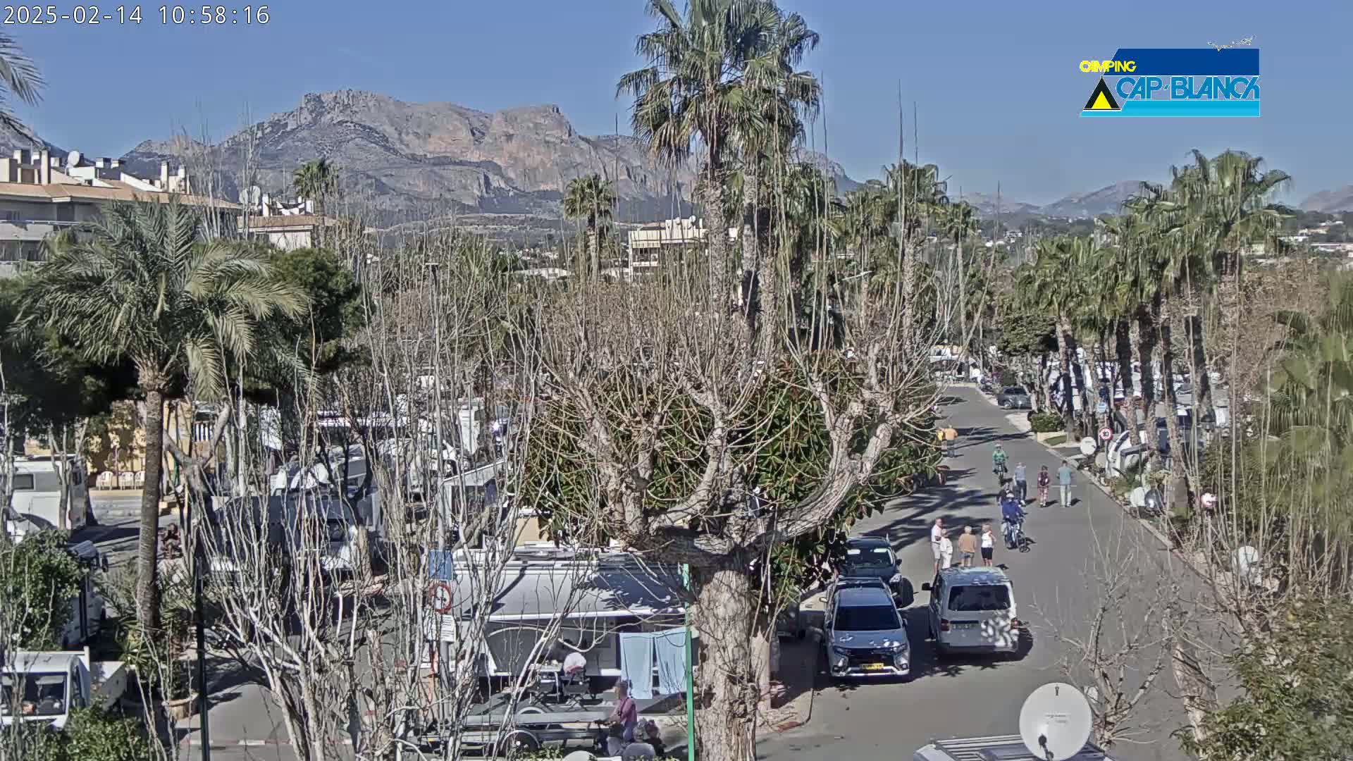 A sunny day reveals a street scene with parked vehicles, palm trees, and buildings, all situated below a mountain range.