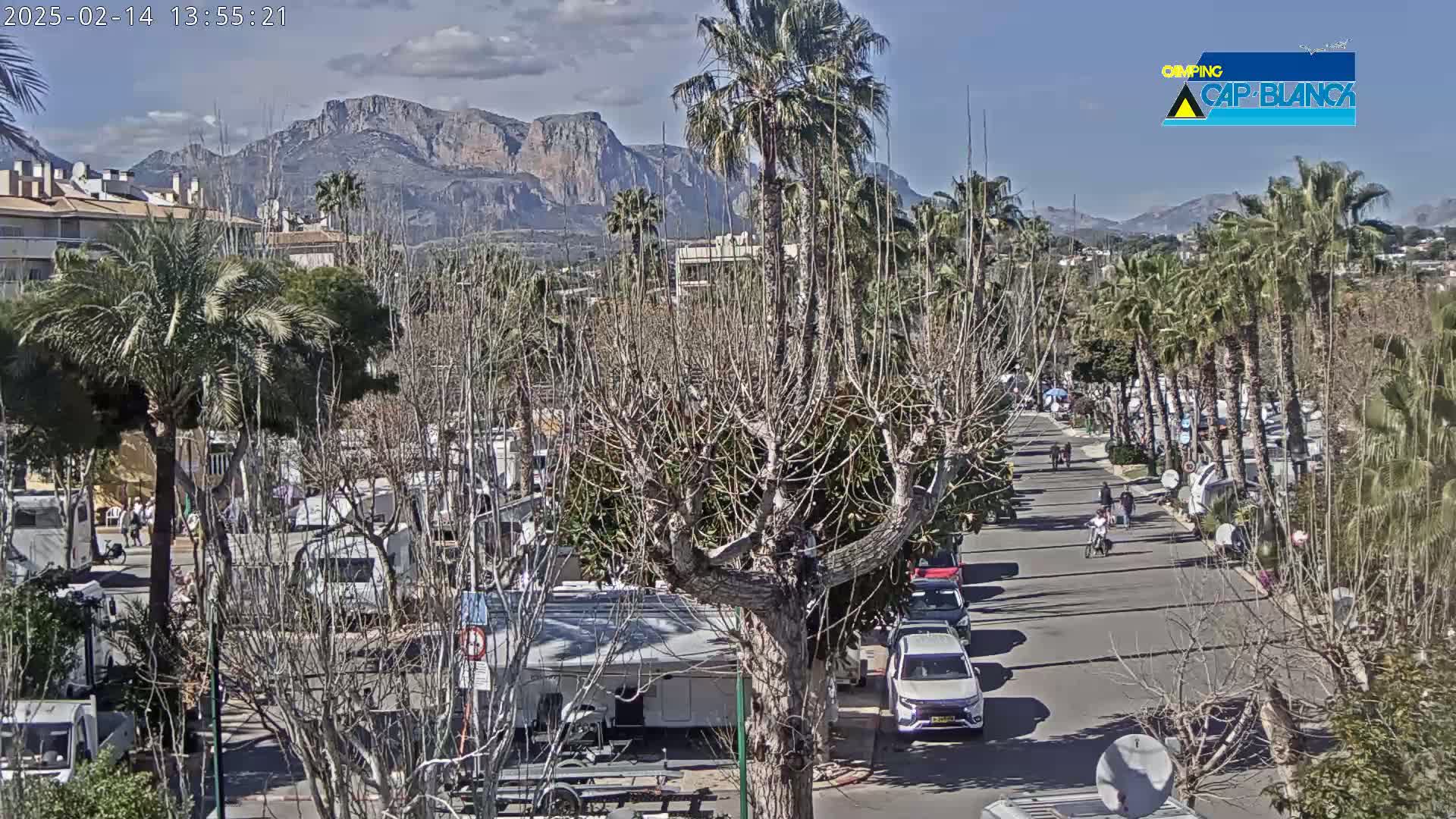 A mostly sunny day shows a street lined with palm trees and recreational vehicles, with mountains in the background.