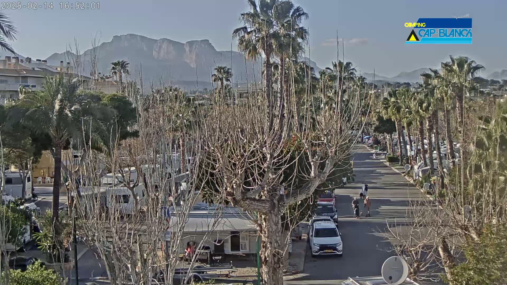 A sunny day reveals a paved road lined with palm trees and recreational vehicles, with mountains visible in the background.
