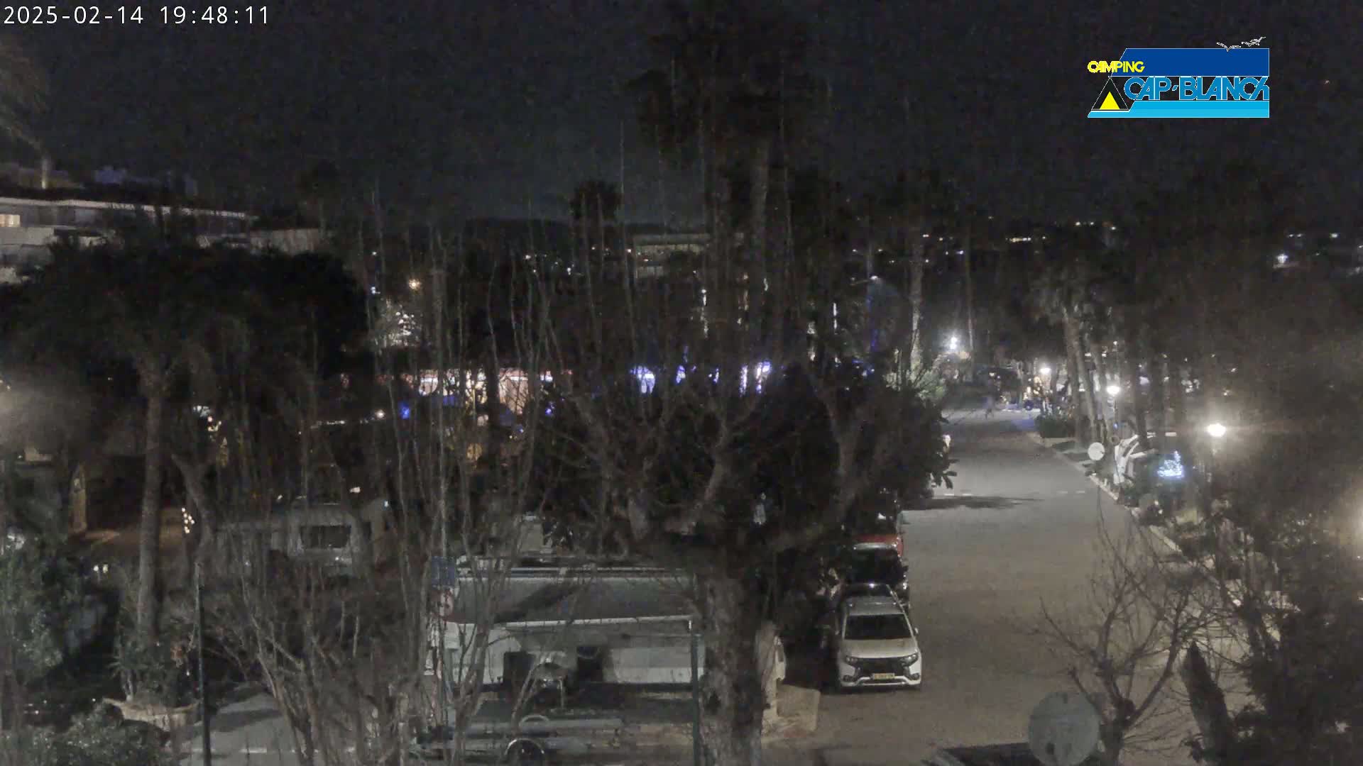 A nighttime view of a street lined with parked cars and recreational vehicles, surrounded by trees and buildings under a clear, dark sky.