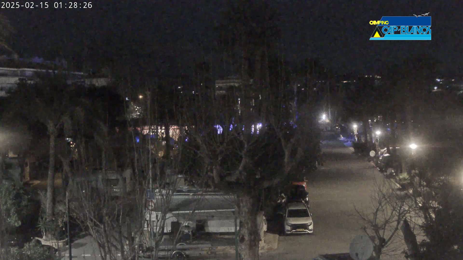 A nighttime, outdoor scene shows a street lined with parked vehicles, some campervans and cars, among bare trees under dark skies.