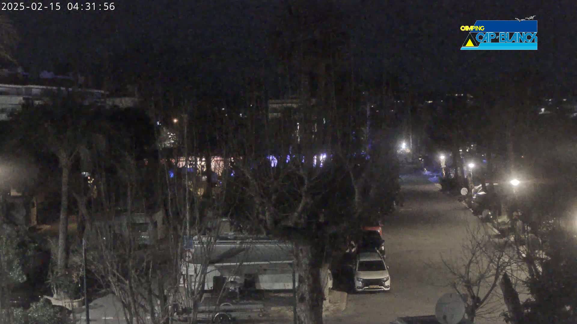 A nighttime view of a street lined with trees and parked vehicles, including camper vans, under clear skies.