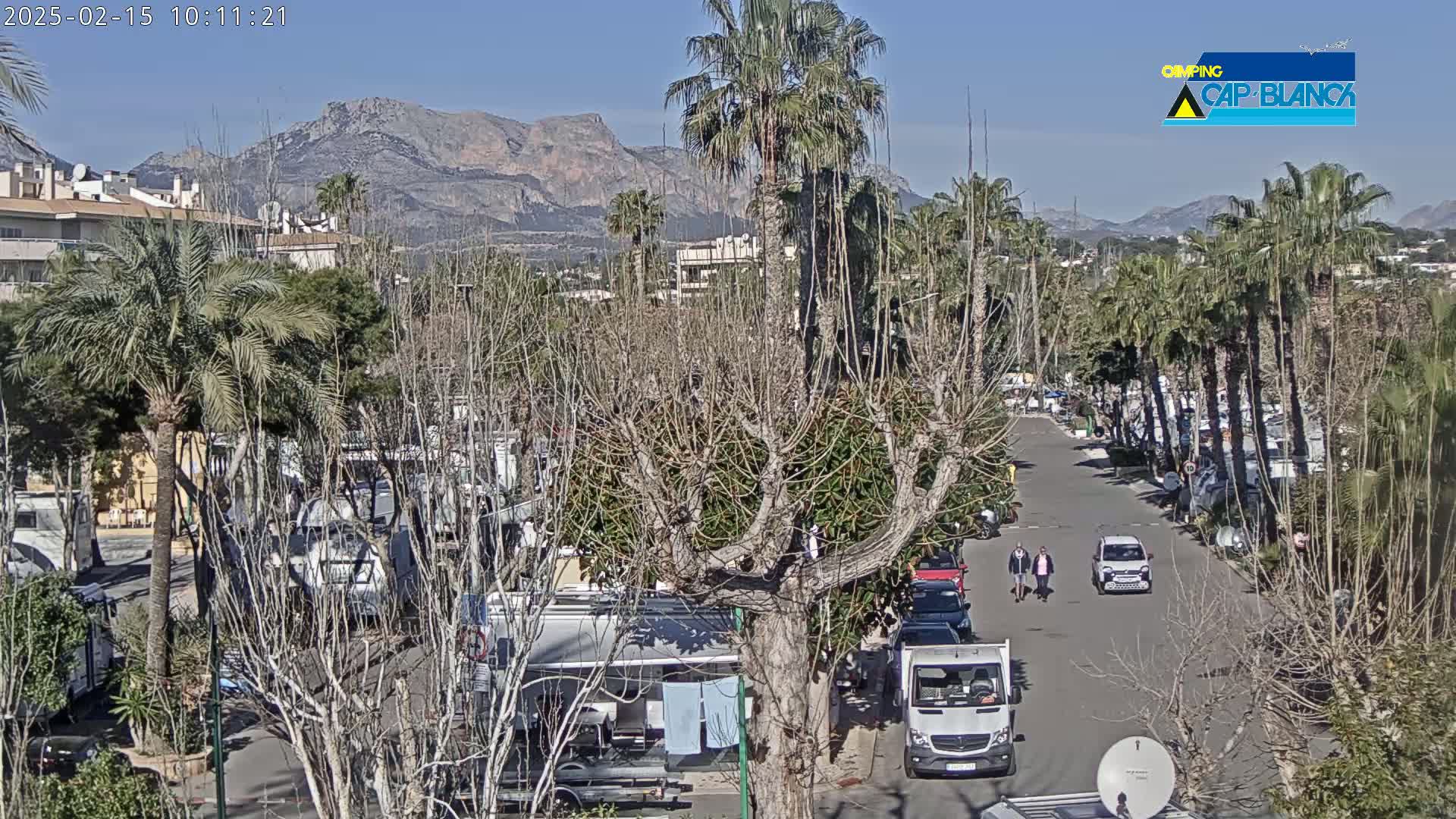A sunny day reveals a paved road lined with palm trees and bare deciduous trees, leading to a mountainous backdrop; numerous RVs and cars are parked in the surrounding area.
