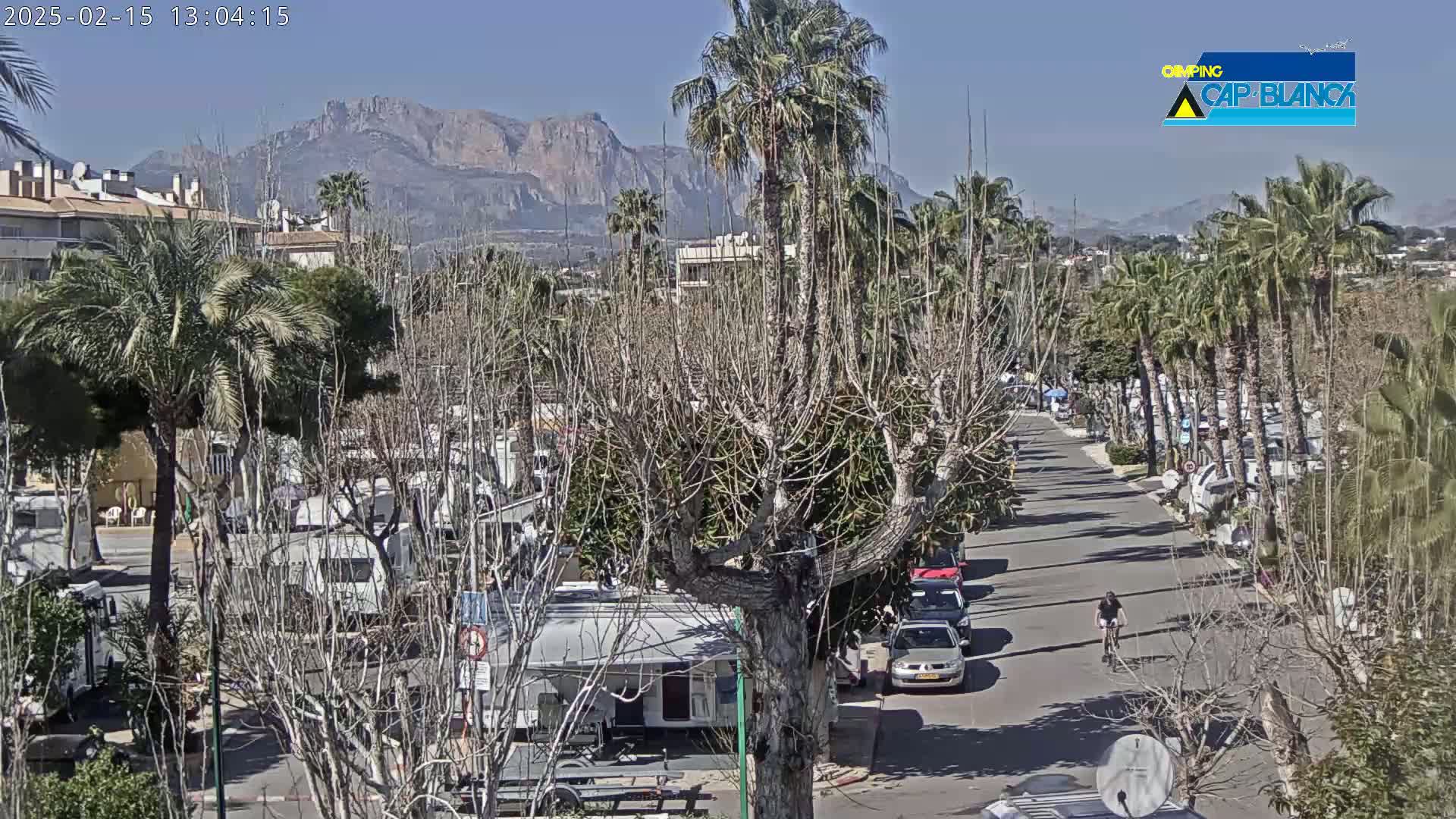 A sunny day reveals a street lined with palm trees and parked recreational vehicles, with mountains in the background.