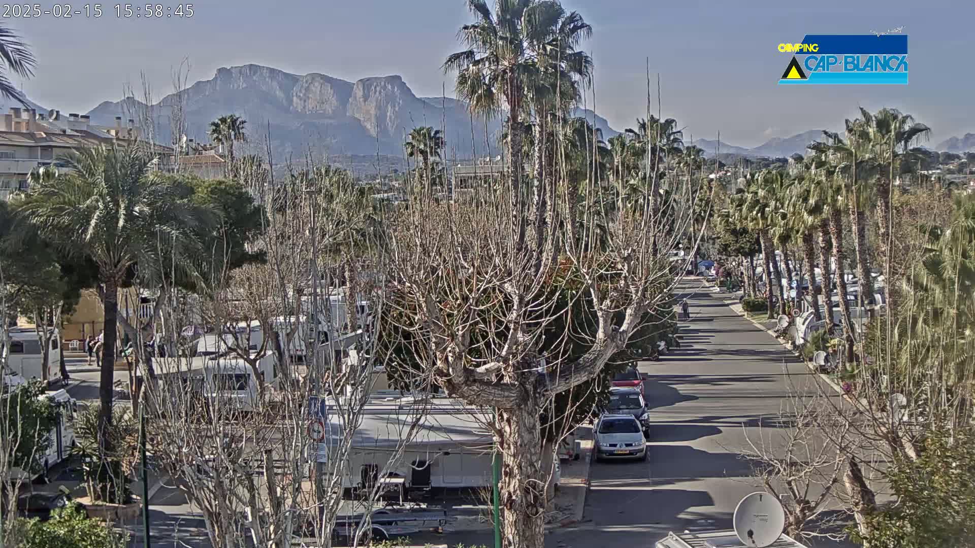A sunny day shows a road lined with palm trees and RVs, with mountains in the background.