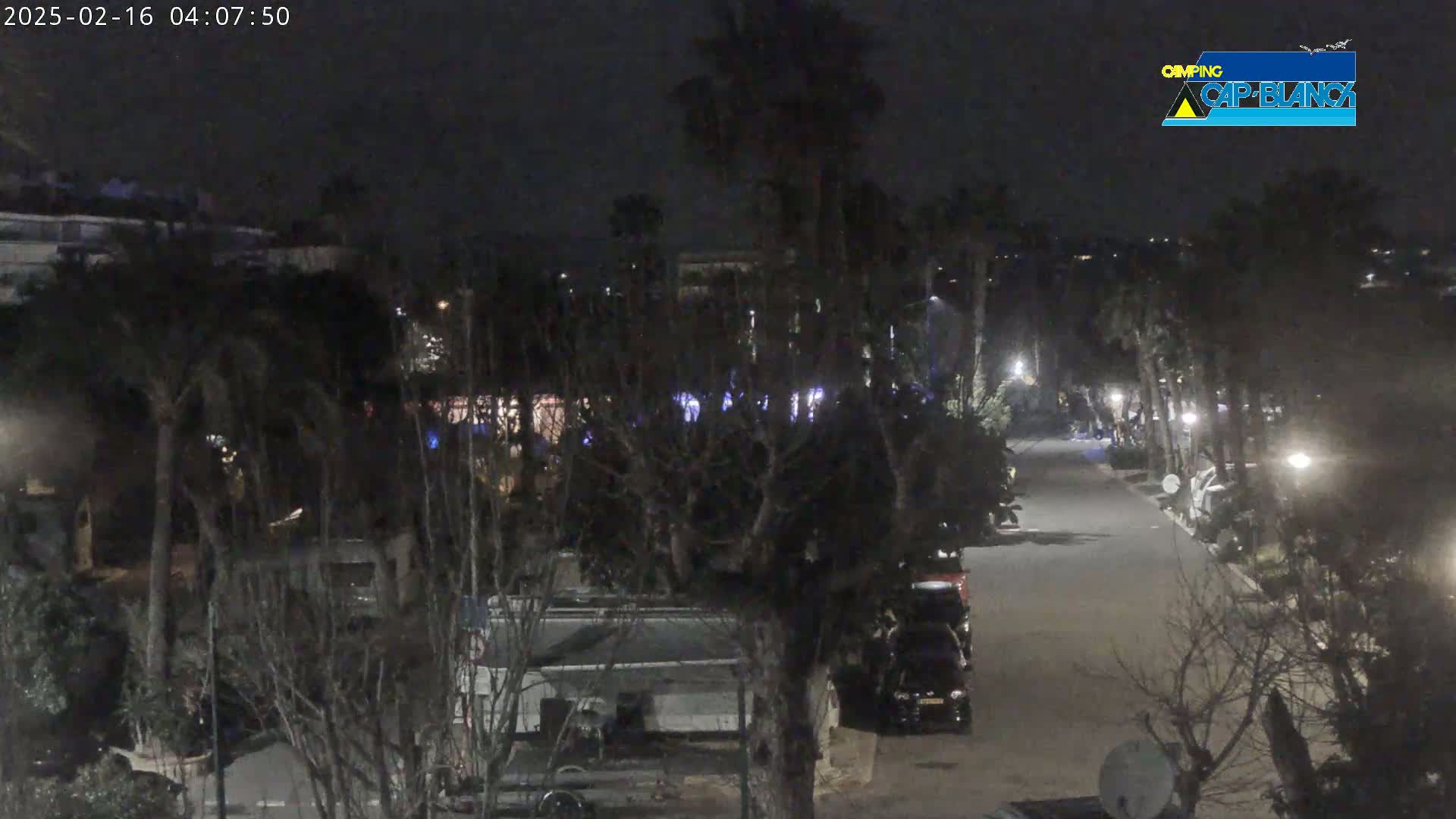 A nighttime view of a paved road lined with parked vehicles and trees, under a dark sky.