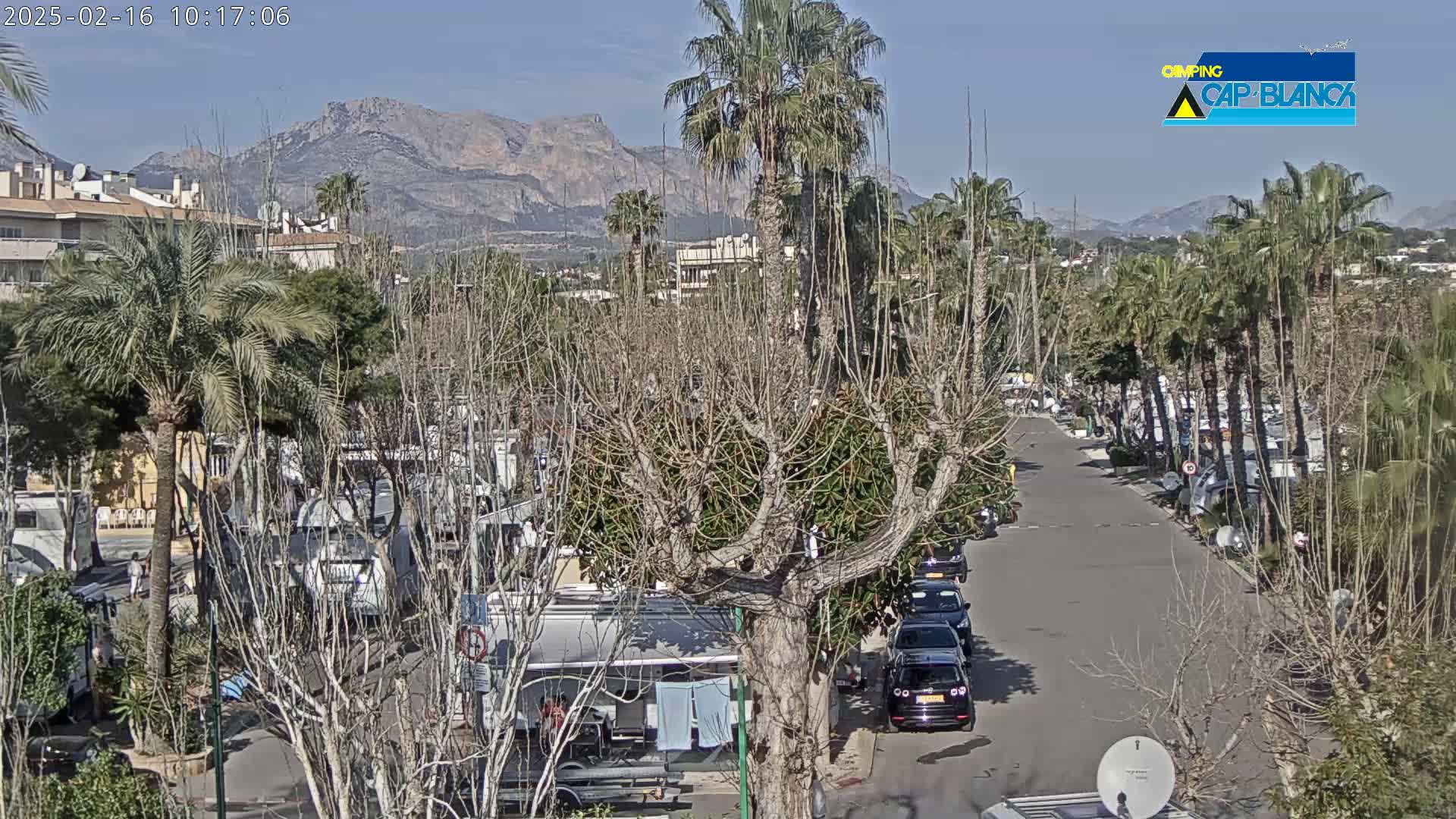 A sunny day reveals a street lined with palm trees and parked RVs, leading toward mountains in the background.