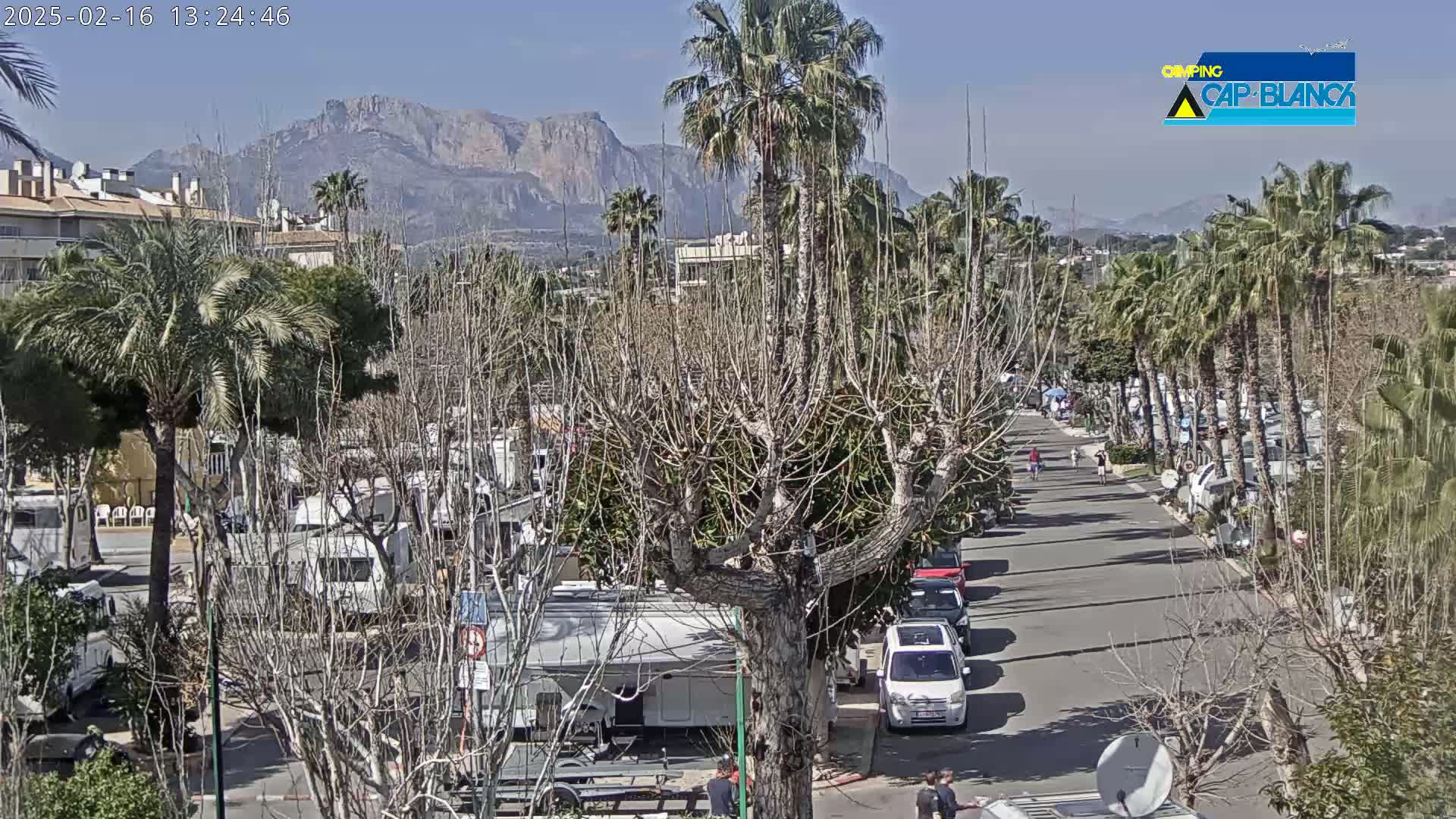 A sunny day reveals a street lined with palm trees and parked RVs, leading towards mountains in the distance.