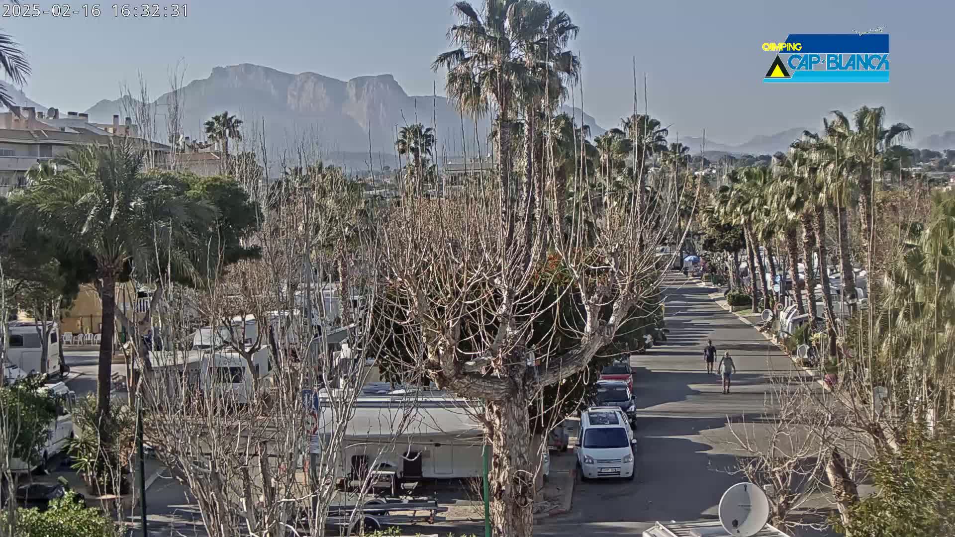 A paved road lined with palm trees and recreational vehicles winds through a campground, with mountains visible in the background under a clear sky.