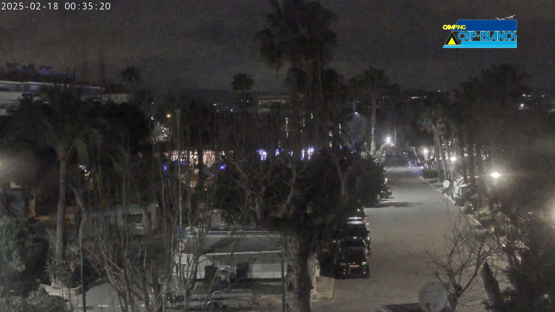 A nighttime view of a paved road lined with parked vehicles and trees, under a dark, overcast sky.