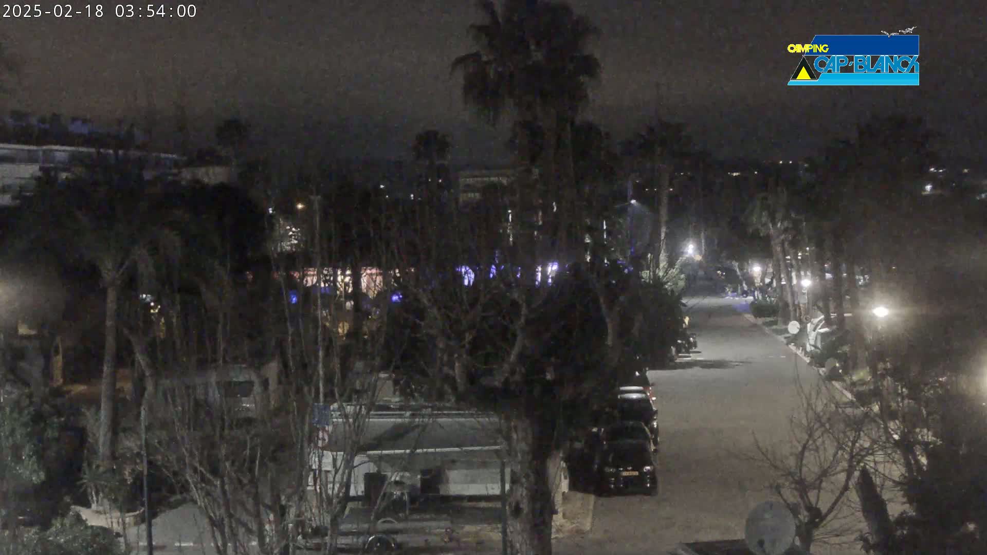 A nighttime, dimly lit street lined with parked vehicles and palm trees.