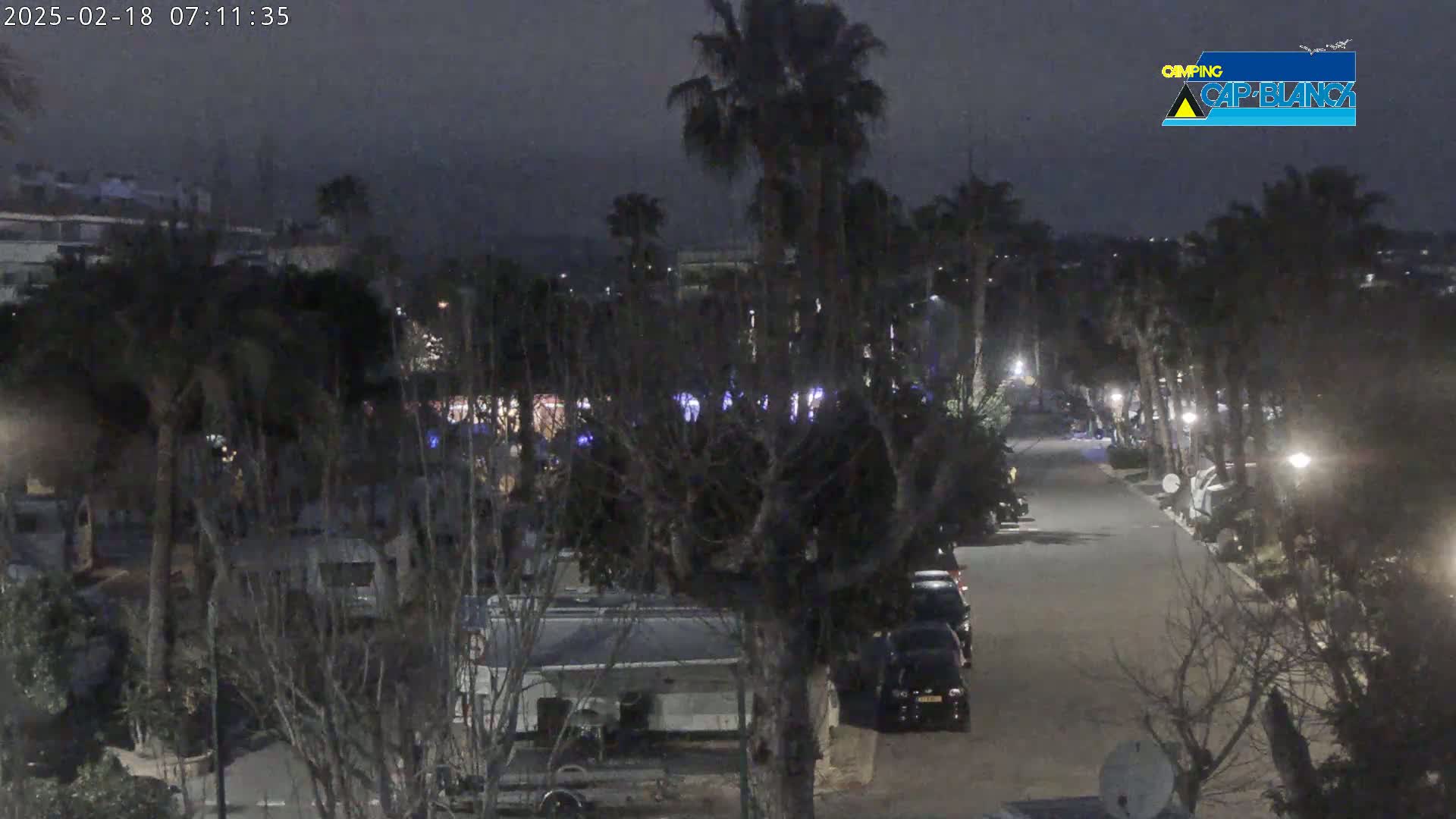 A nighttime view of a paved road lined with parked cars and RVs, surrounded by palm trees and other vegetation under a dark, cloudy sky.