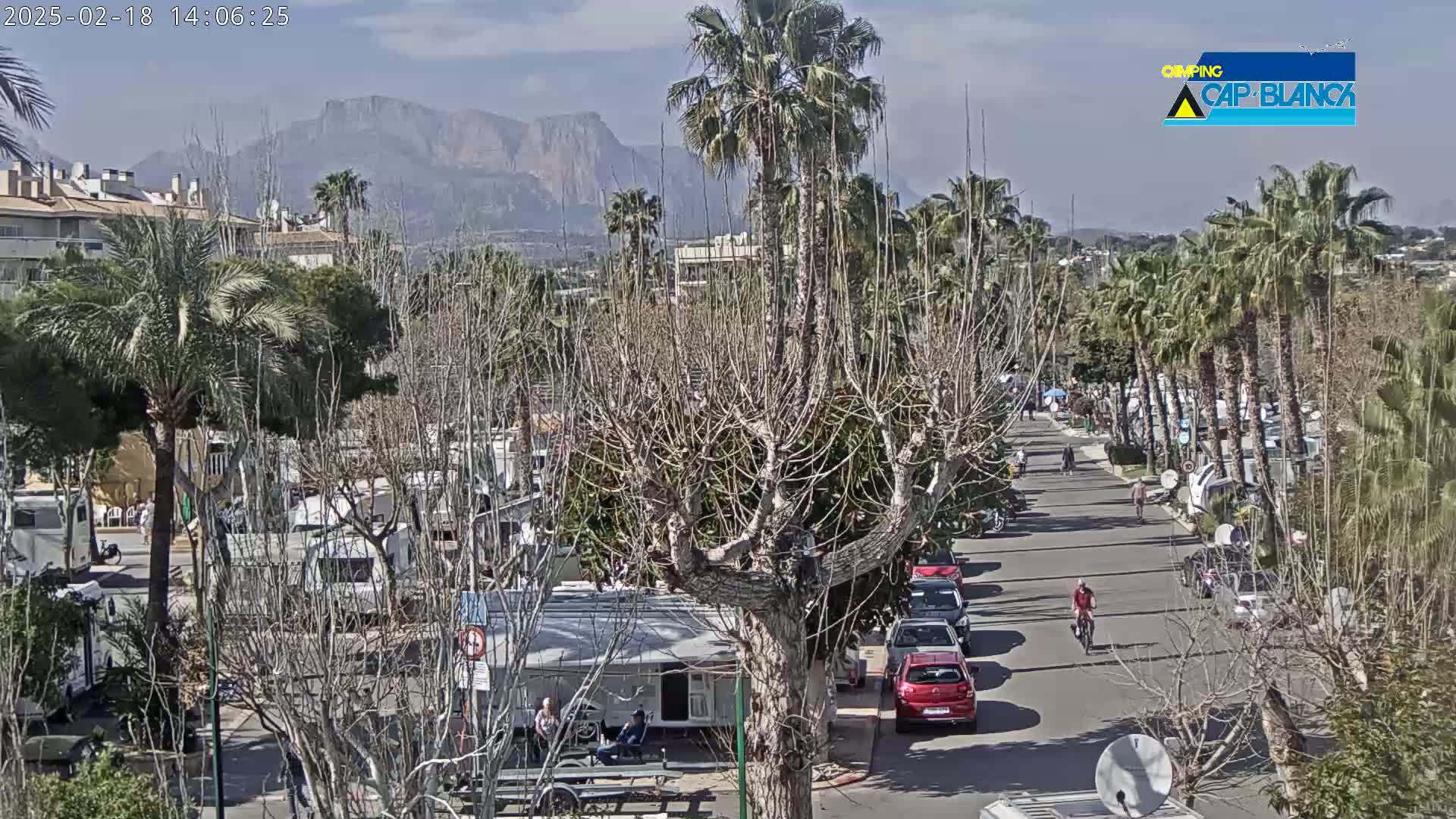 A sunny day reveals a street lined with palm trees and parked RVs, leading towards distant mountains.