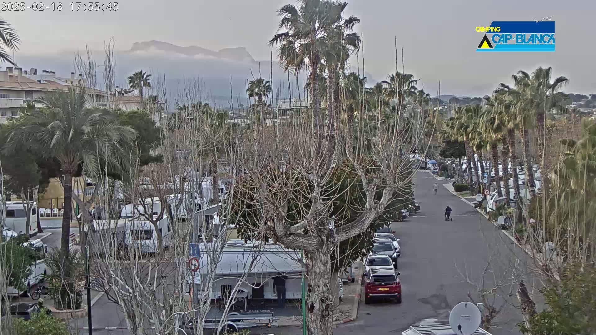 A paved road winds through a campground filled with RVs and surrounded by palm trees and bare deciduous trees under an overcast sky, with mountains visible in the distance.
