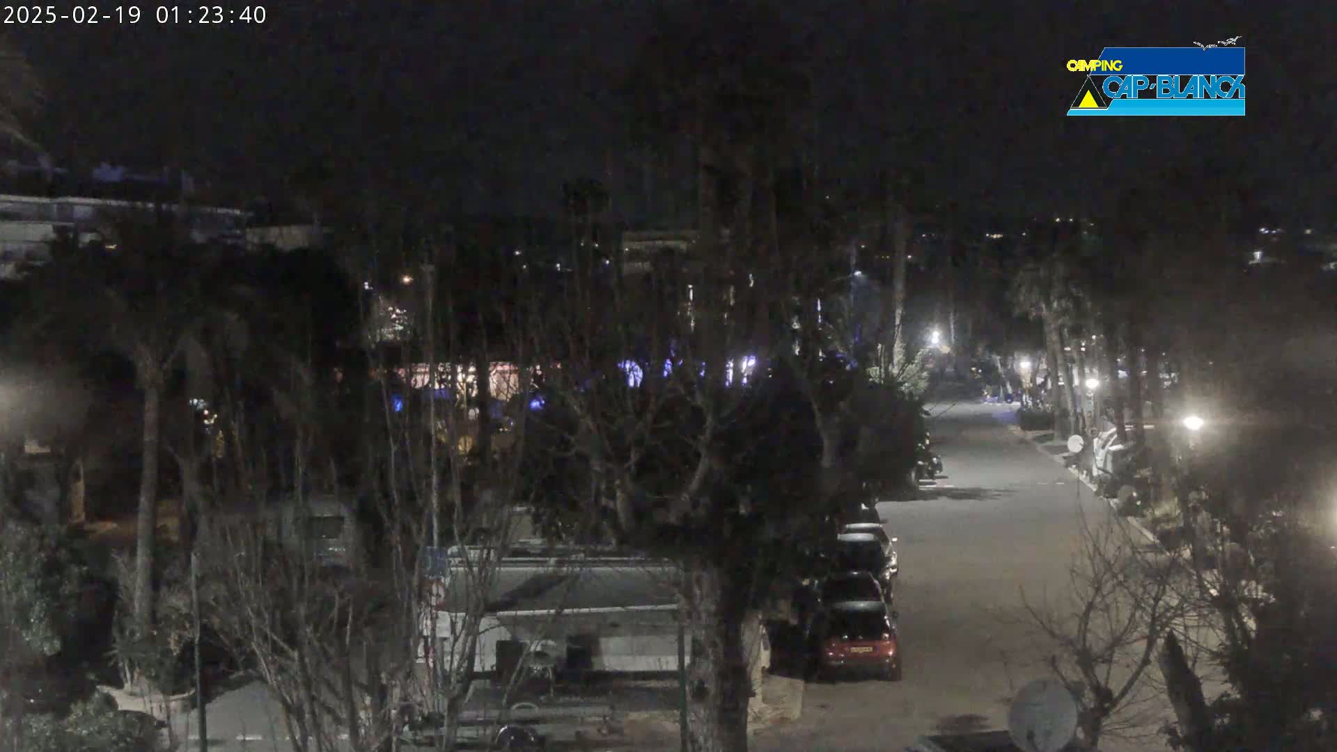 A nighttime view of a street lined with parked cars and trees, under a clear, dark sky.