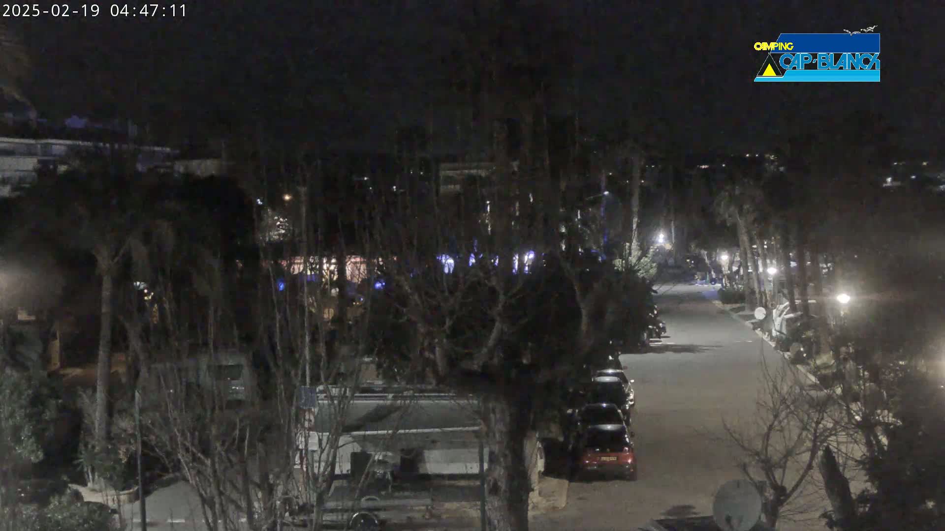 A nighttime, overhead view of a paved road lined with parked cars and recreational vehicles, surrounded by dark trees and buildings under a clear, dark sky.