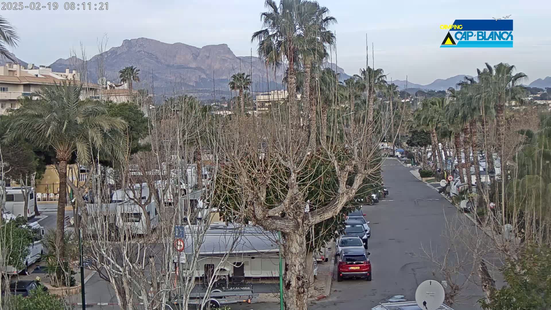 A street lined with palm trees and bare deciduous trees leads to a mountainous background under an overcast sky, with numerous recreational vehicles parked along the roadside.