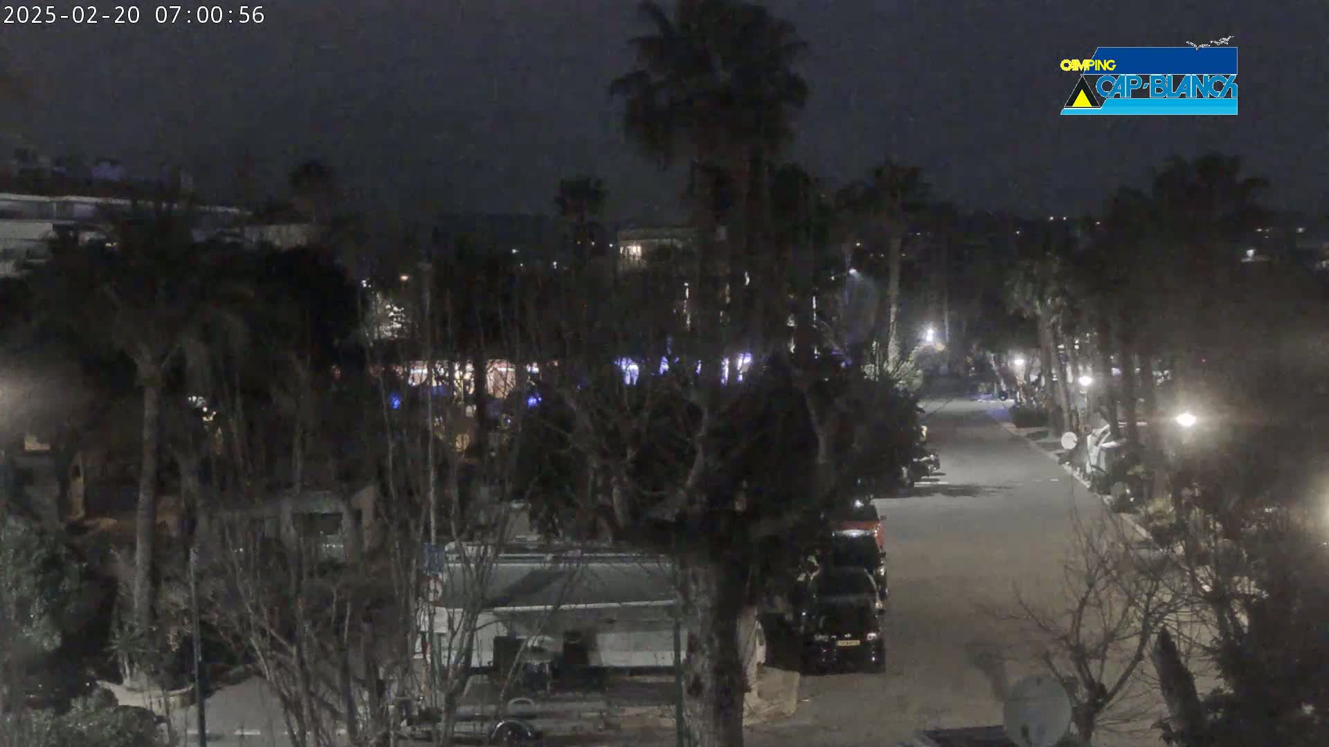 A nighttime view of a paved road lined with parked vehicles and palm trees under a dark sky.