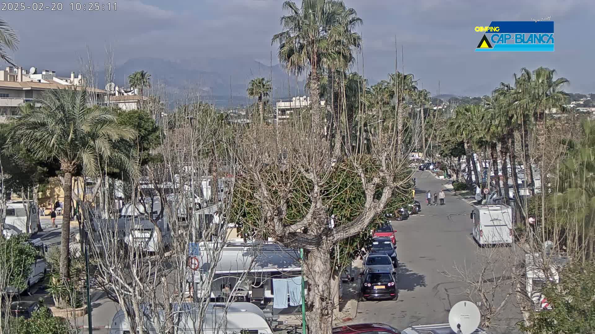 A sunny day in a campground with numerous RVs parked among bare trees and palm trees, overlooking a street and distant mountains.