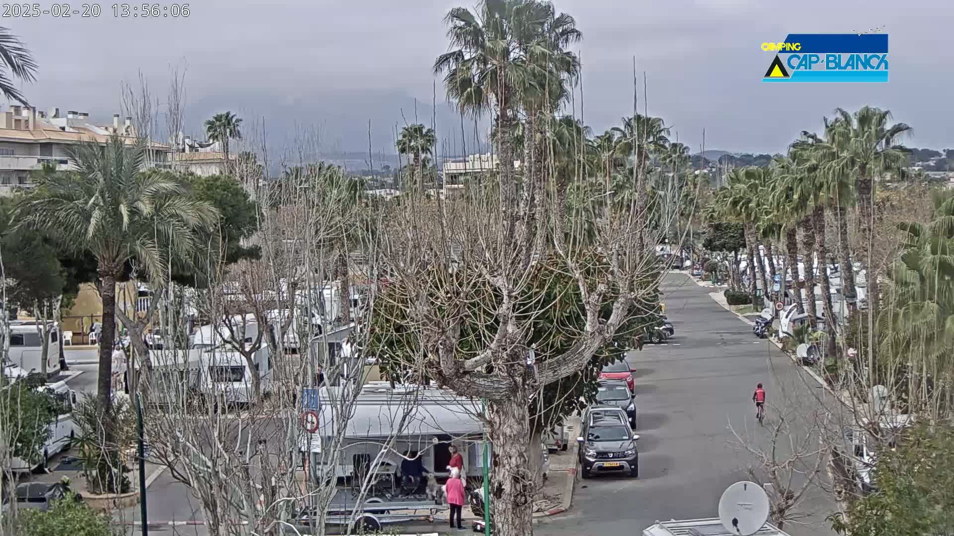 An overcast day reveals a street lined with palm trees and recreational vehicles, with several people visible near parked cars and a campervan.