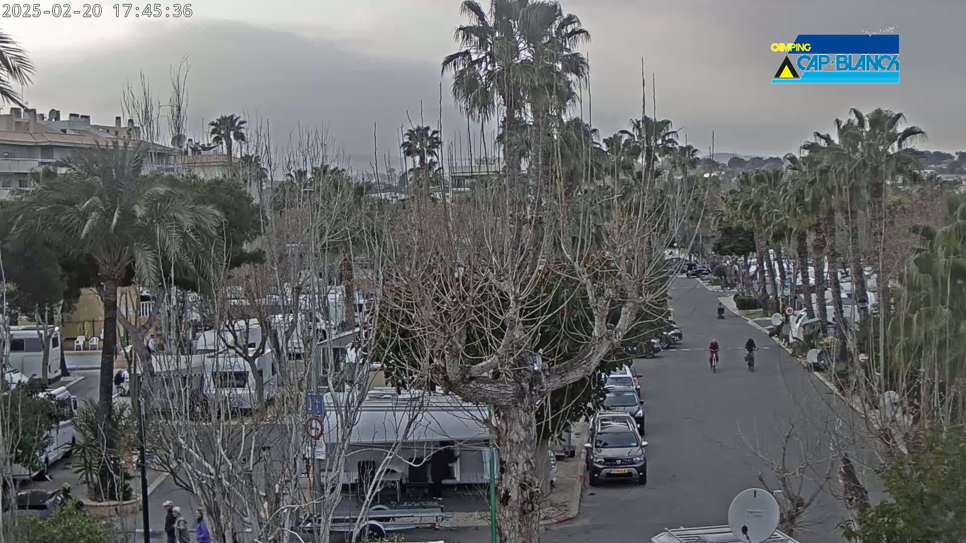 A street scene with numerous RVs parked amongst leafless trees and palm trees under an overcast sky, with two cyclists riding down the street.