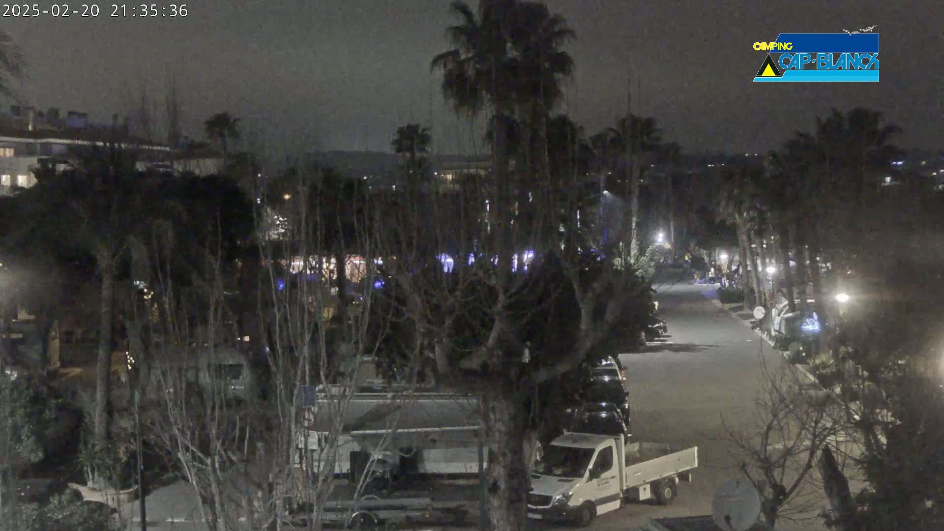 A nighttime view of a street lined with palm trees and parked vehicles, including RVs and a white van, under a dark, clear sky.