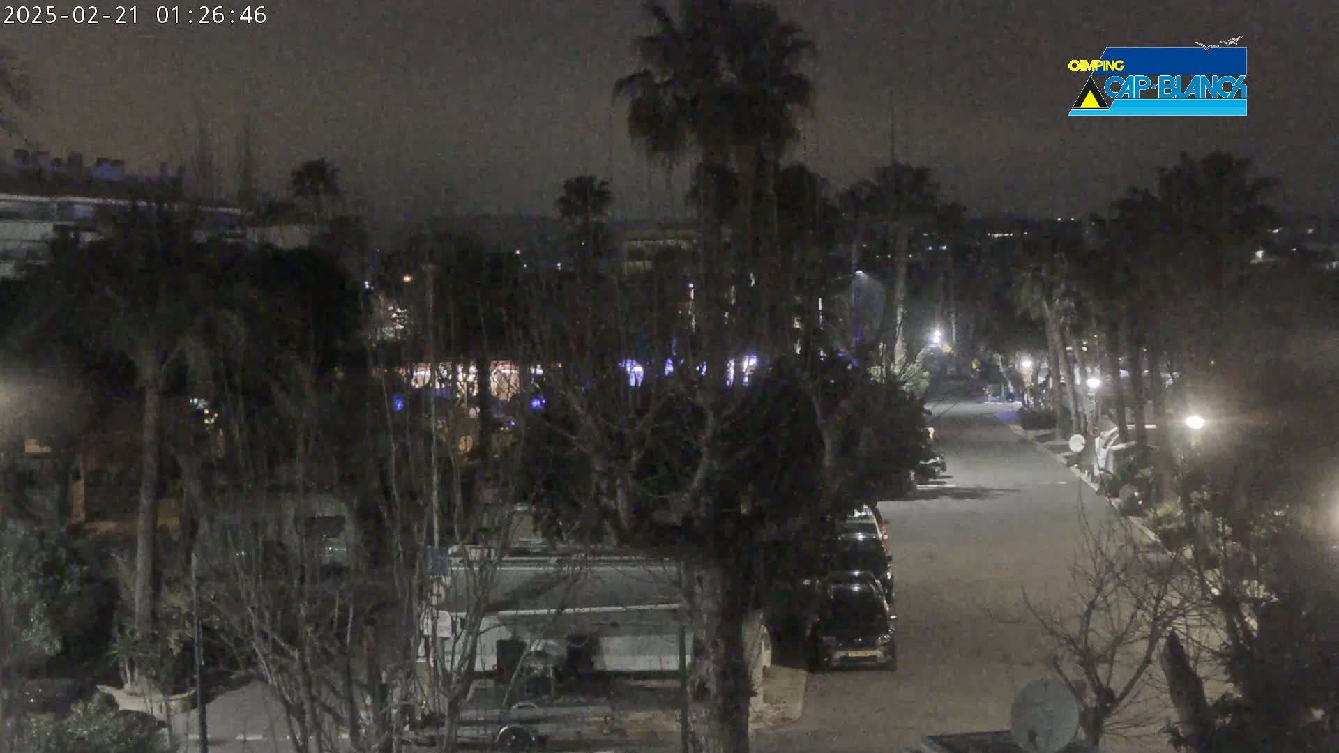 A nighttime view of a paved road winding through a campground with parked vehicles and palm trees under a dark sky.
