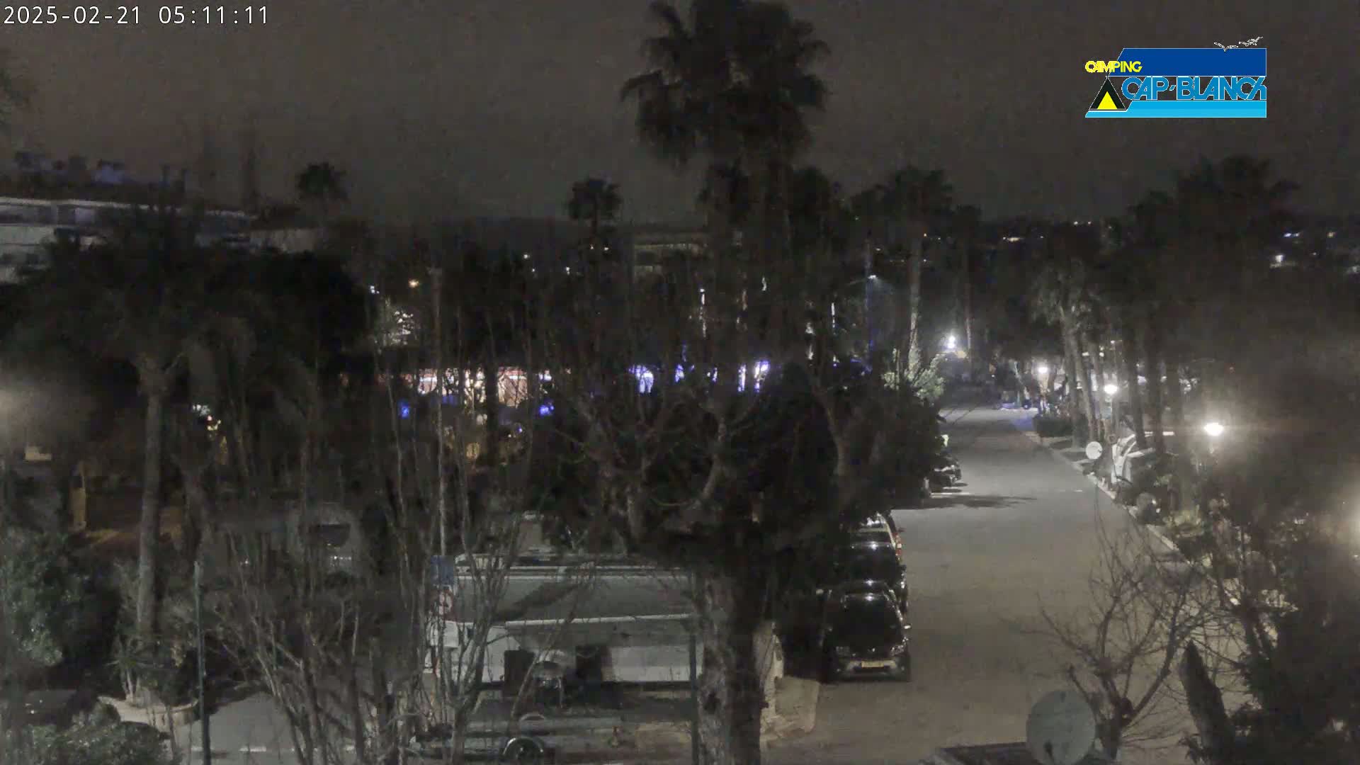 A nighttime view of a paved road lined with palm trees and parked vehicles, under a dark sky.