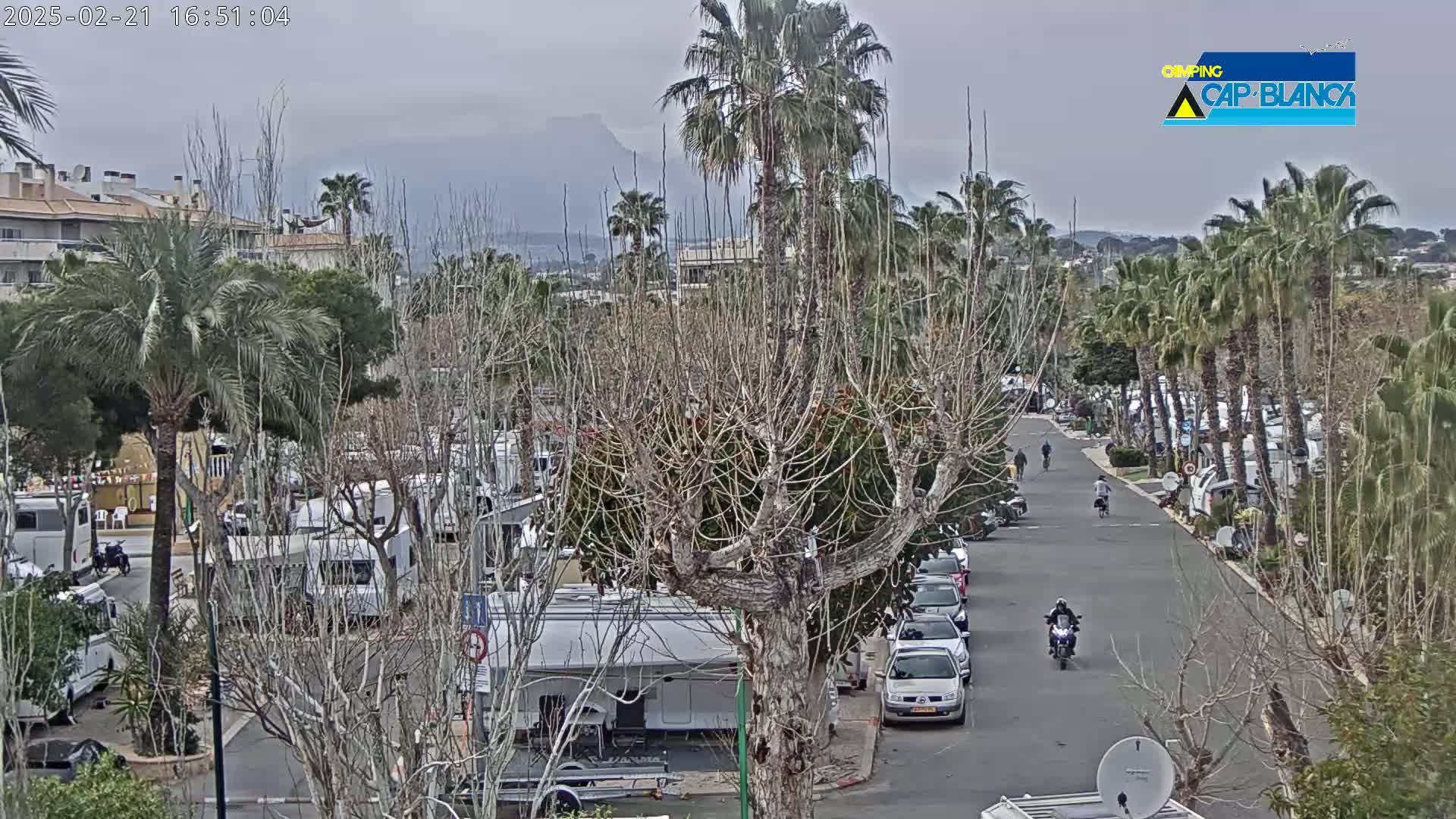 A street lined with palm trees and recreational vehicles, under an overcast sky, with a few people walking and riding motorcycles.