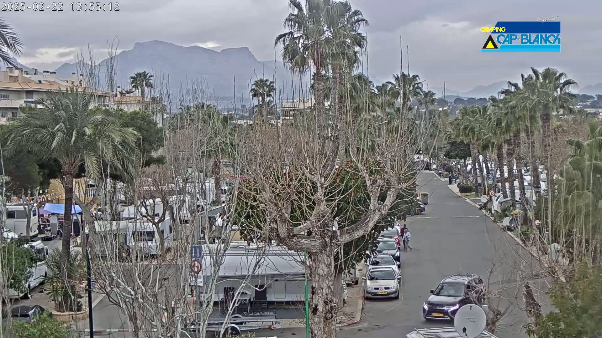 A street scene on an overcast day shows numerous RVs parked among palm trees and bare deciduous trees, with cars driving on the street and mountains in the background.