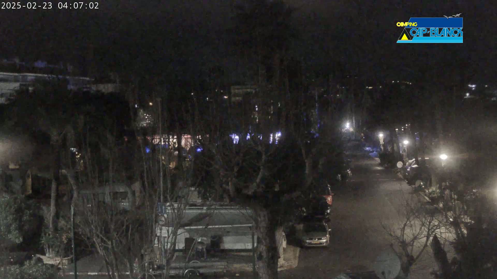 A nighttime view of a street lined with parked cars and trees, dimly lit by streetlights.