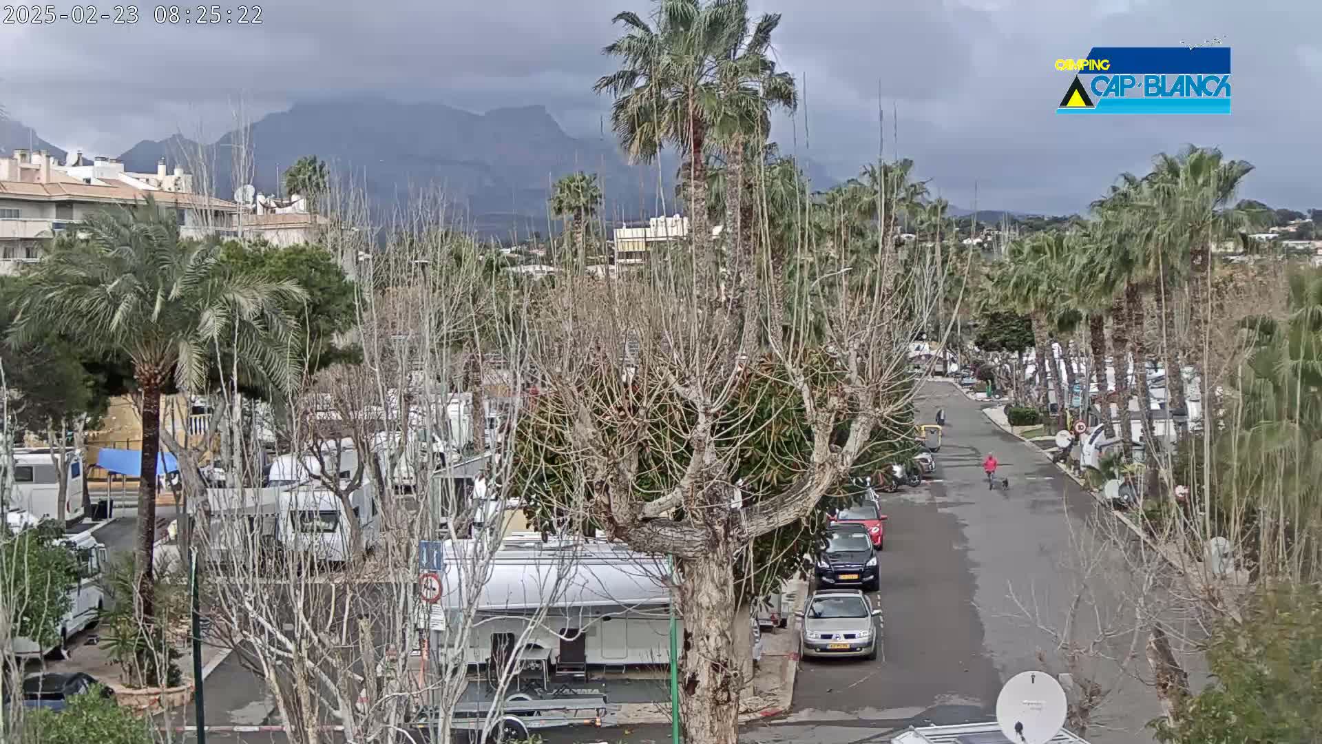 A road lined with palm trees and recreational vehicles winds through a campground under an overcast sky, with mountains visible in the distance.