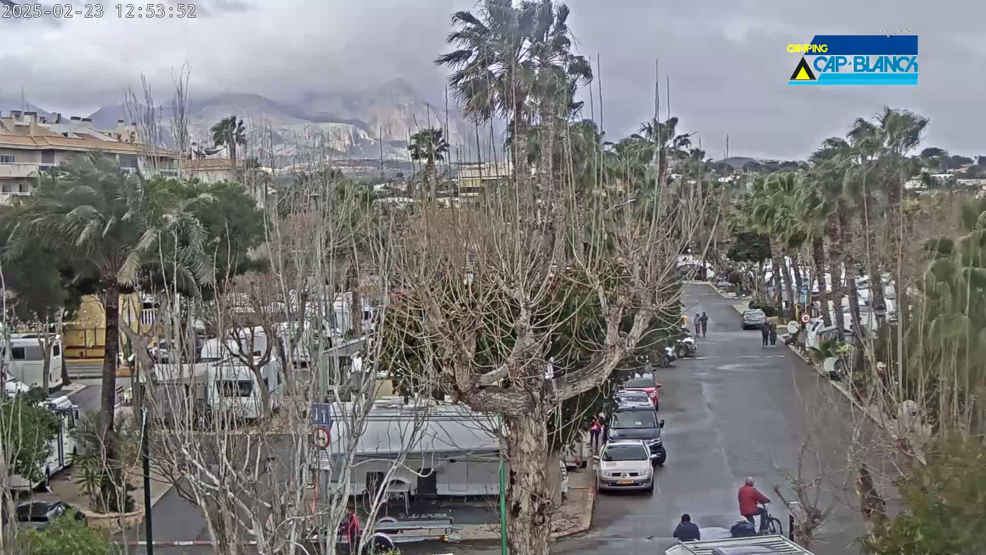A wet, overcast day reveals a campground with numerous RVs and cars parked amidst palm trees and bare deciduous trees, with mountains visible in the background.