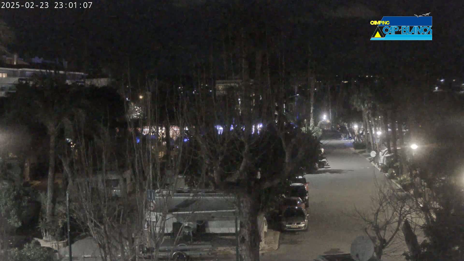 A nighttime view of a paved road lined with parked cars and trees, illuminated by streetlights.