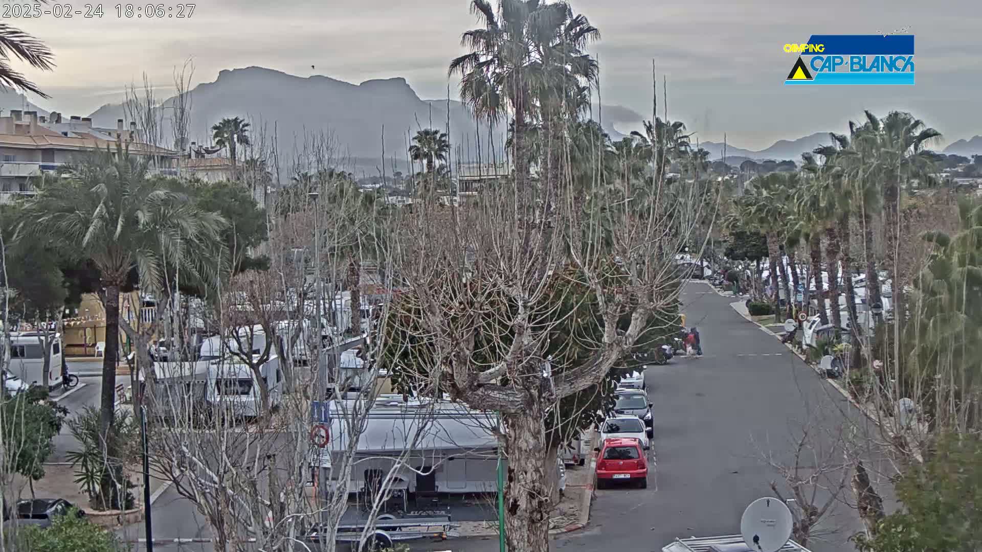 A parking lot filled with recreational vehicles is situated beneath a cloudy sky, near palm trees and bare-branched trees, with mountains in the background.