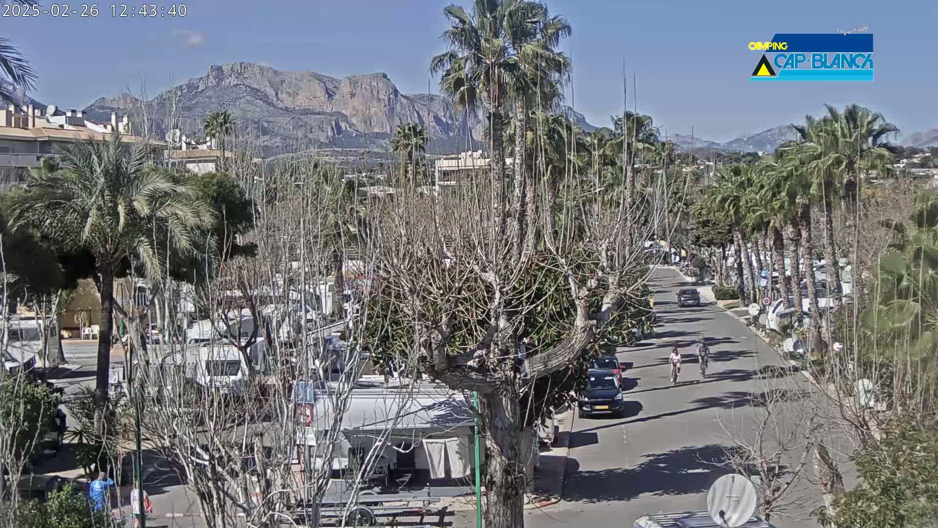 A sunny day reveals a road lined with palm trees and recreational vehicles, backed by mountains.
