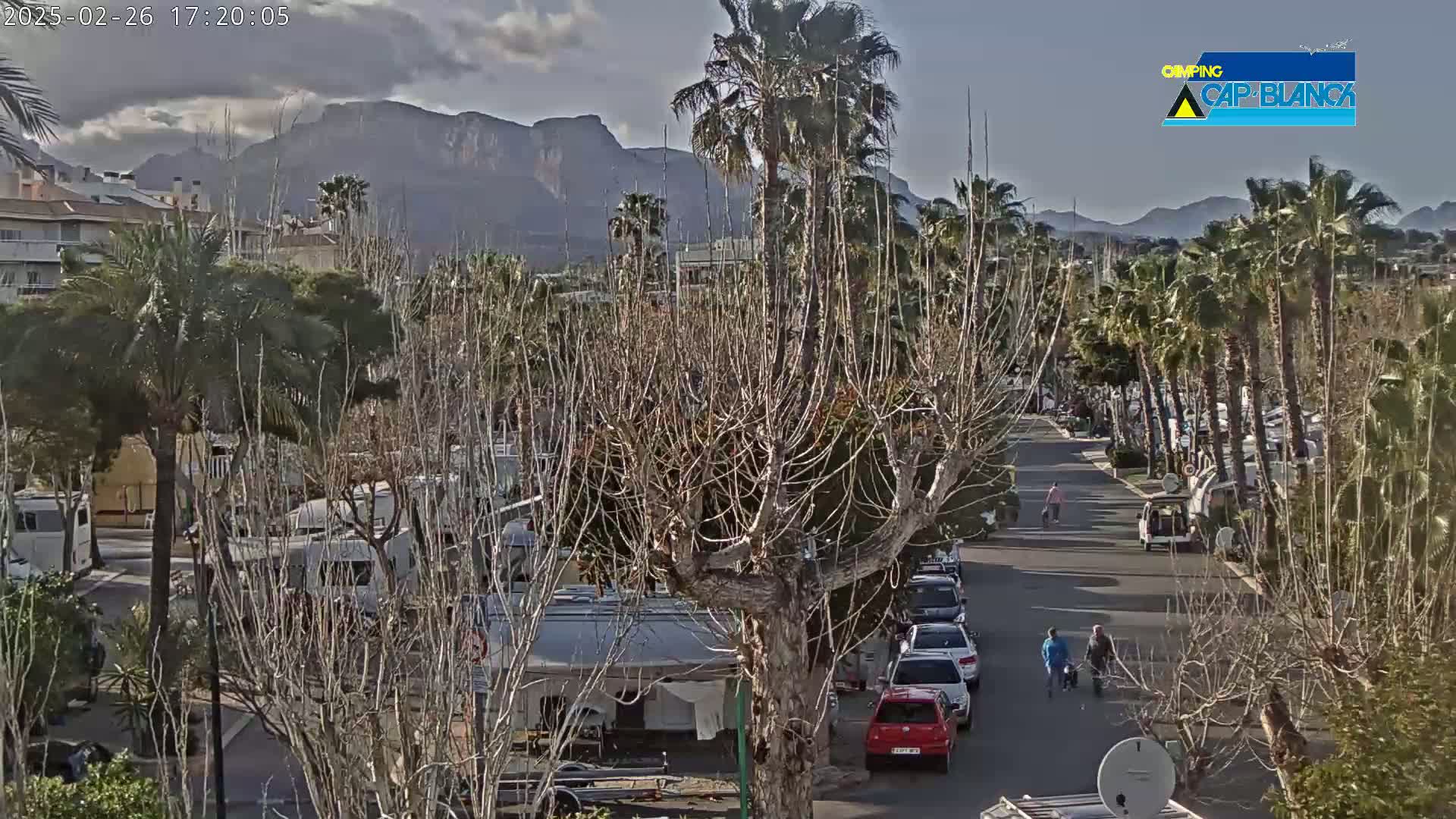 A mostly sunny day reveals a street lined with palm trees and recreational vehicles, mountains in the distance.