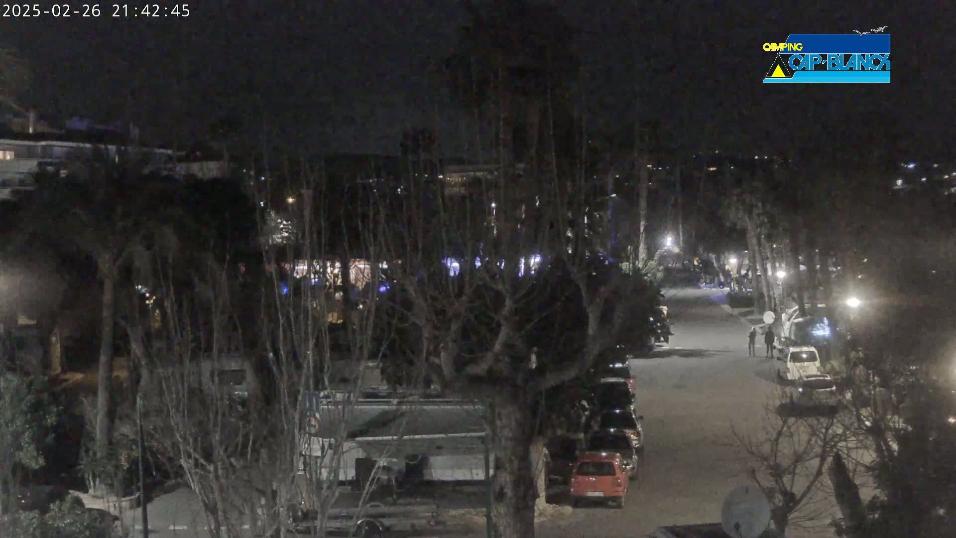 A nighttime view of a street lined with parked vehicles and trees, under a dark sky.