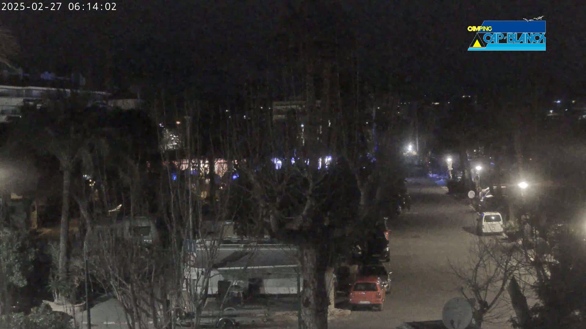 A nighttime view of a street lined with parked vehicles and trees, under dark and clear skies.