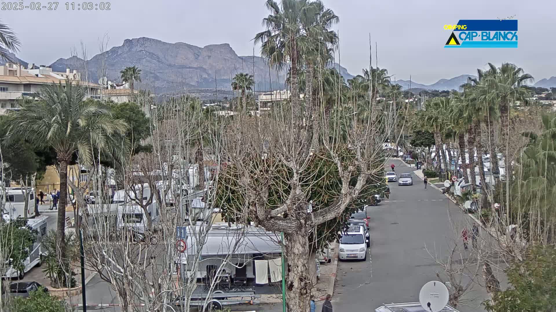 A street lined with palm trees and RVs, with mountains in the background under an overcast sky.