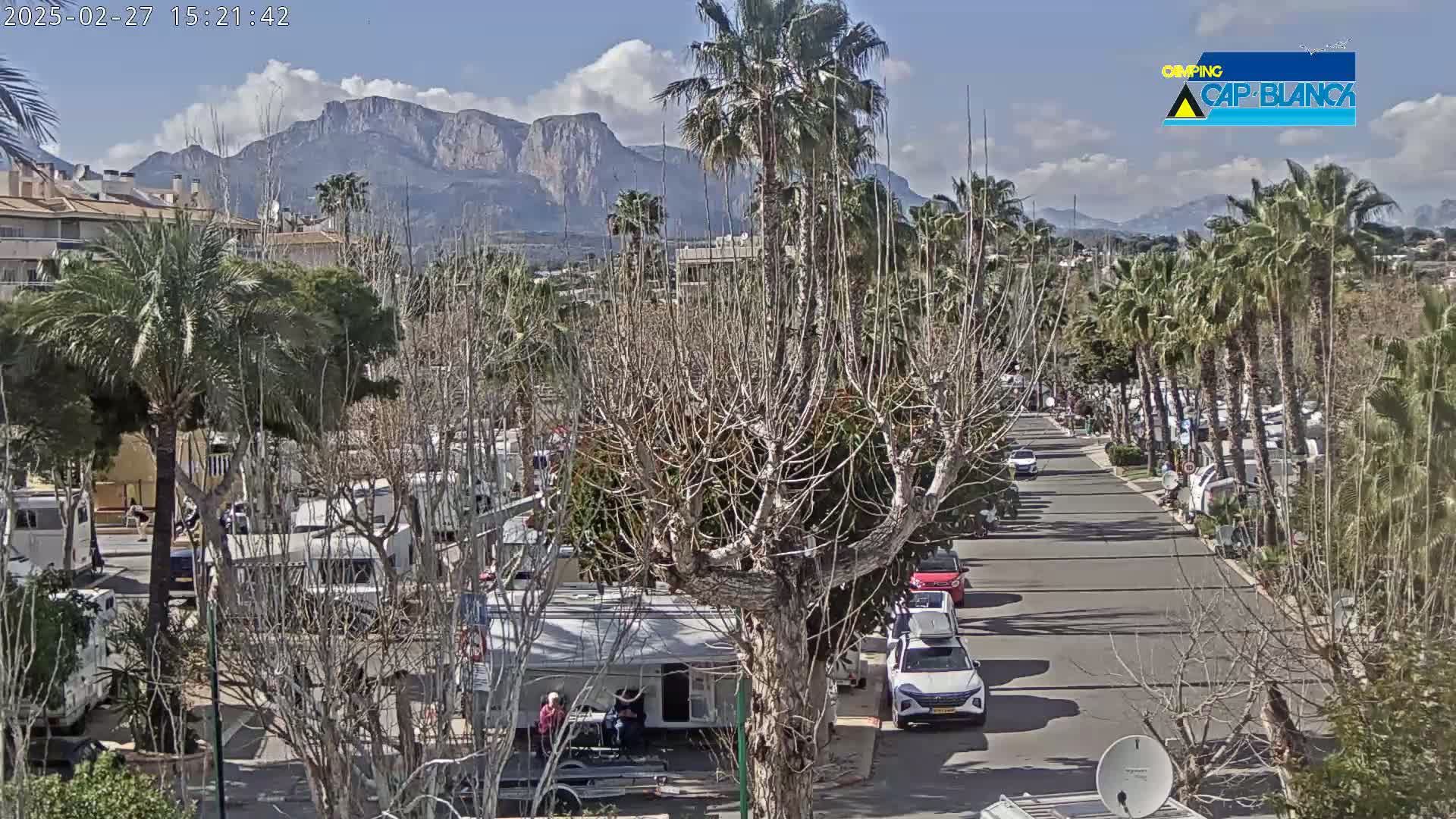 A sunny day reveals a street lined with palm trees and recreational vehicles, with mountains in the background.