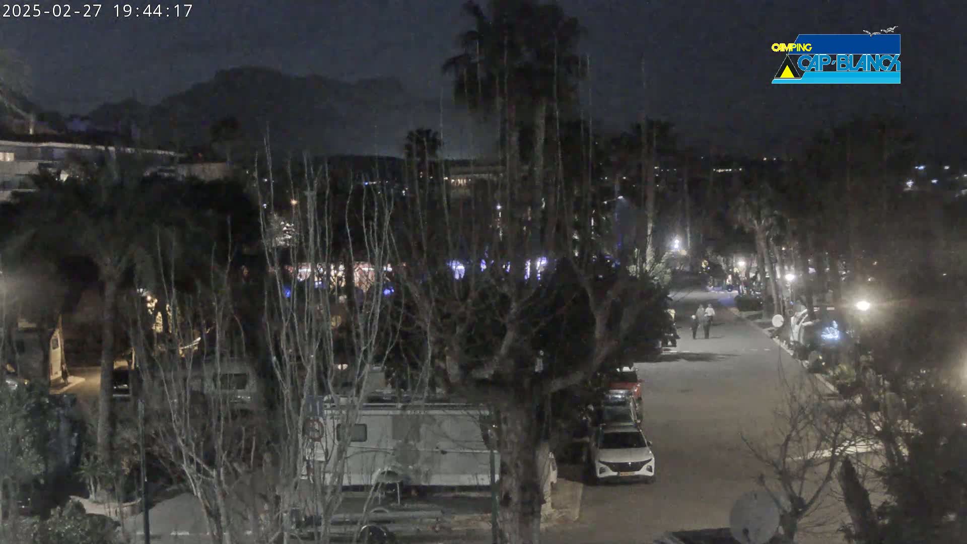 A nighttime view of a street lined with parked vehicles, palm trees, and buildings, under a dark sky with distant mountains visible in the background.