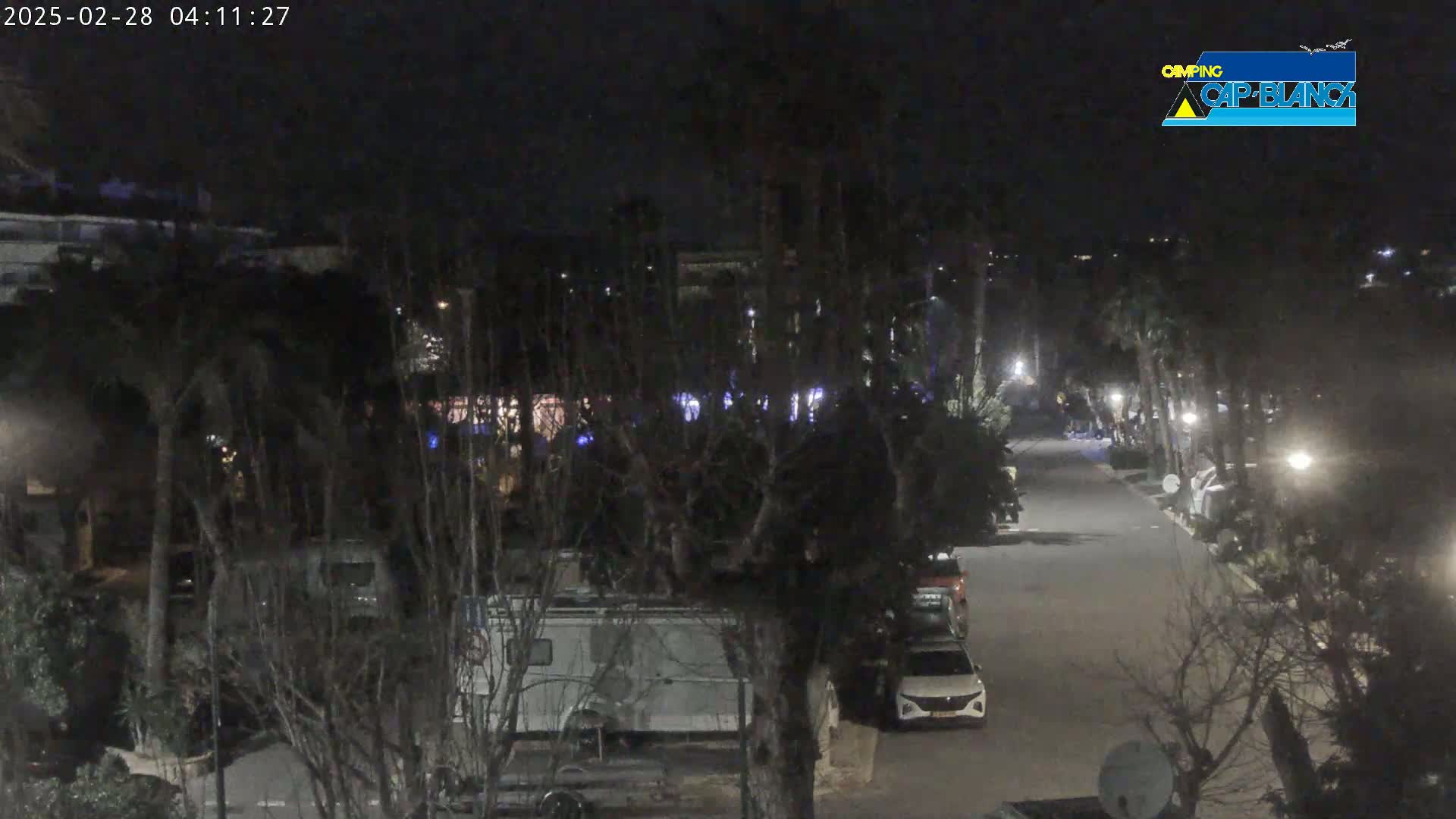 A nighttime view of a street lined with parked cars and RVs, surrounded by trees under a dark sky.