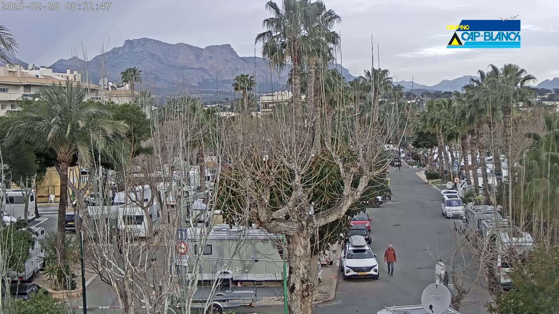 A paved road winds through a campground filled with RVs and cars, under an overcast sky, with palm trees and bare deciduous trees, and mountains in the background.