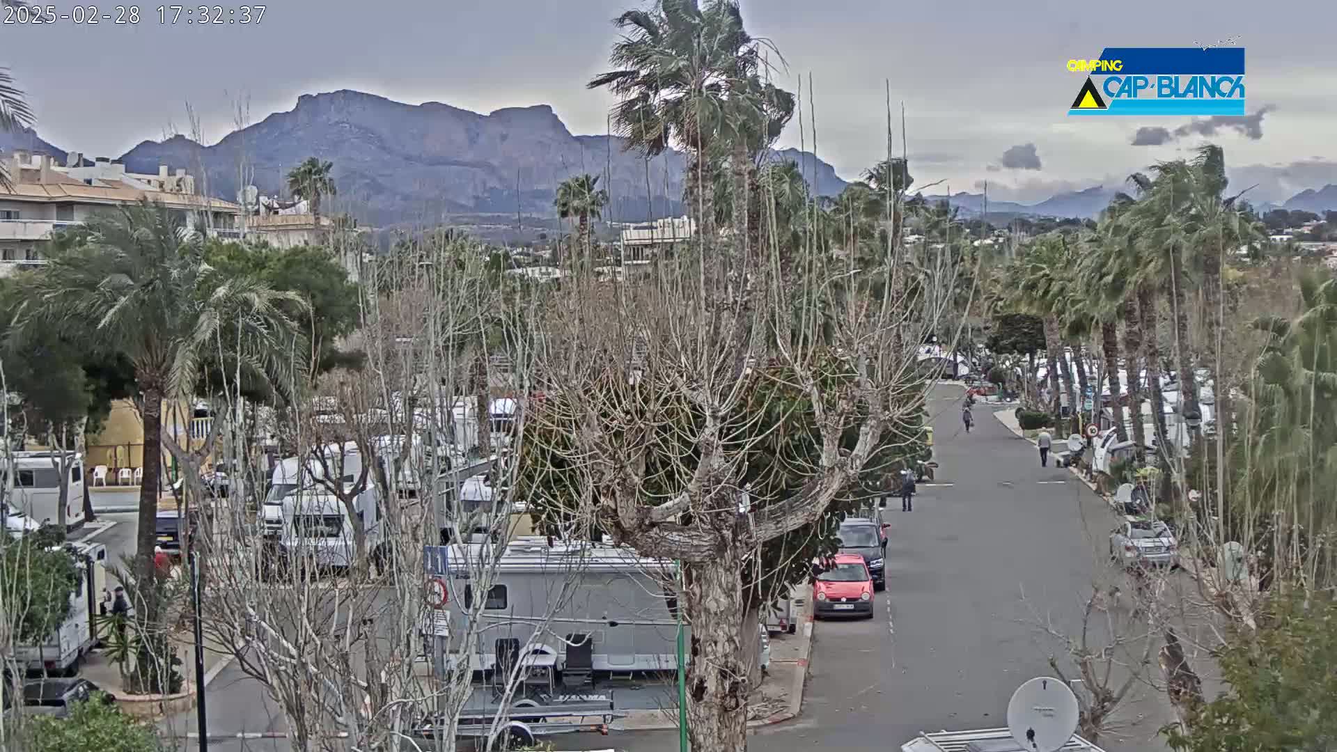 A parking lot filled with RVs and cars is situated below a tree-lined road, with palm trees and mountains in the background under an overcast sky.