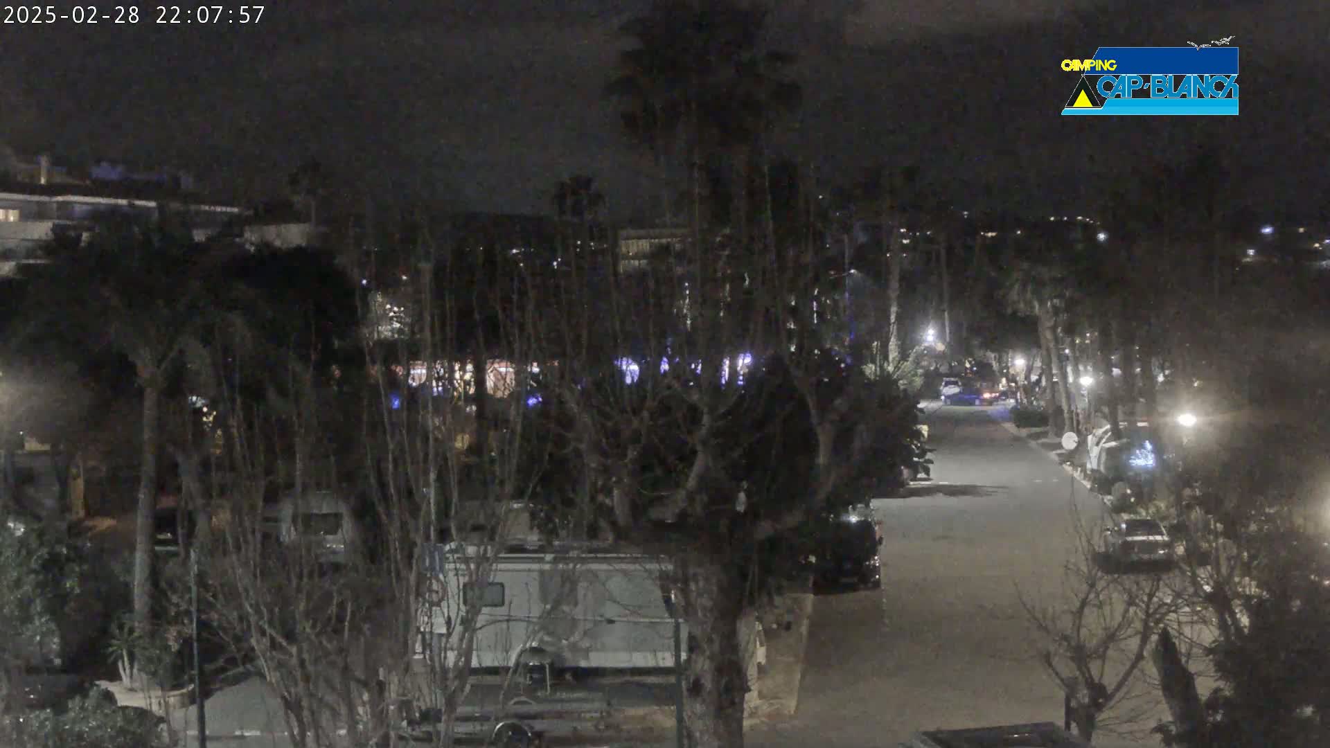 A nighttime view of a street lined with parked cars and RVs, surrounded by trees and buildings under a dark sky.
