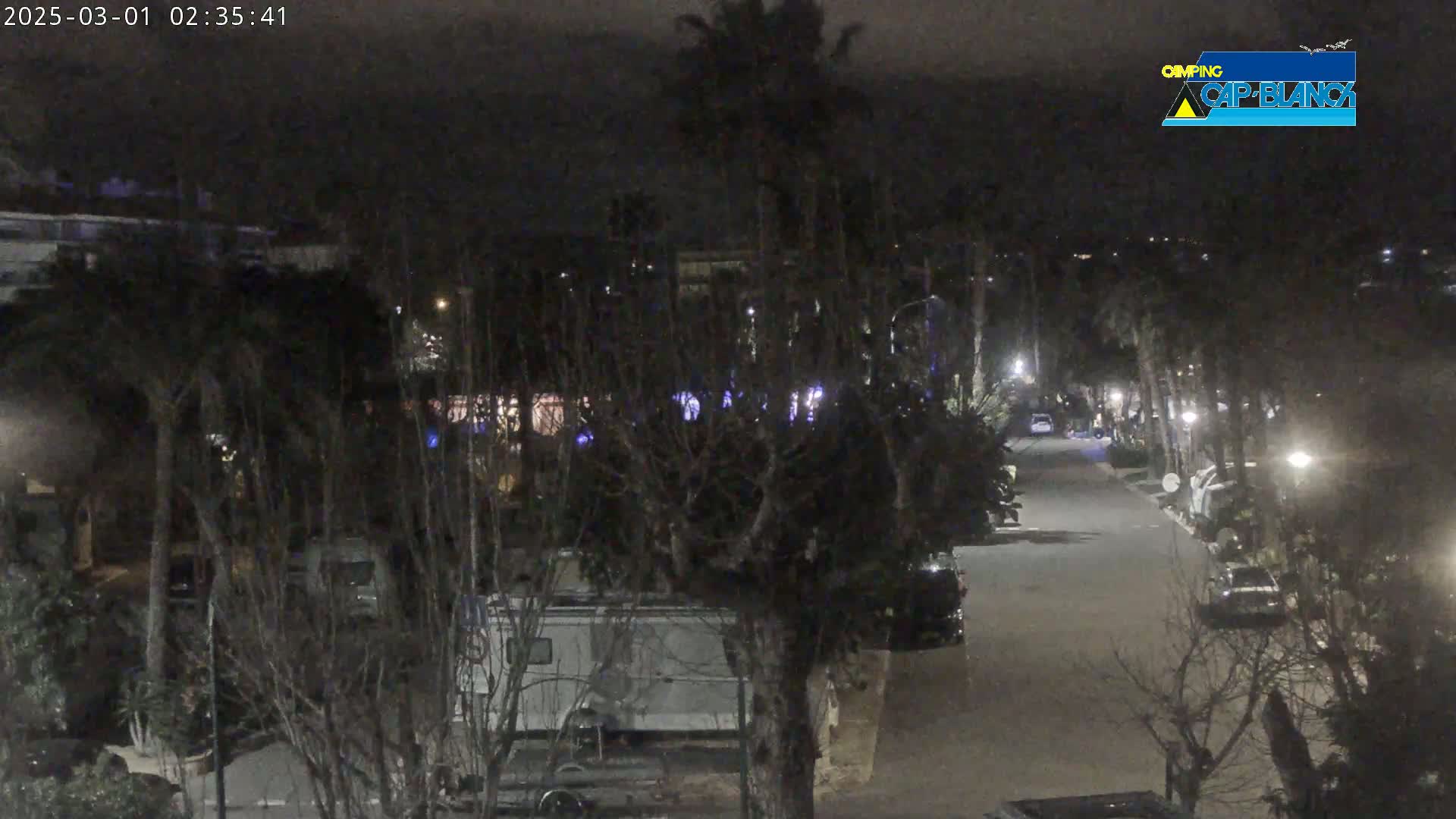 A nighttime view of a paved road lined with parked vehicles and trees, illuminated by streetlights.